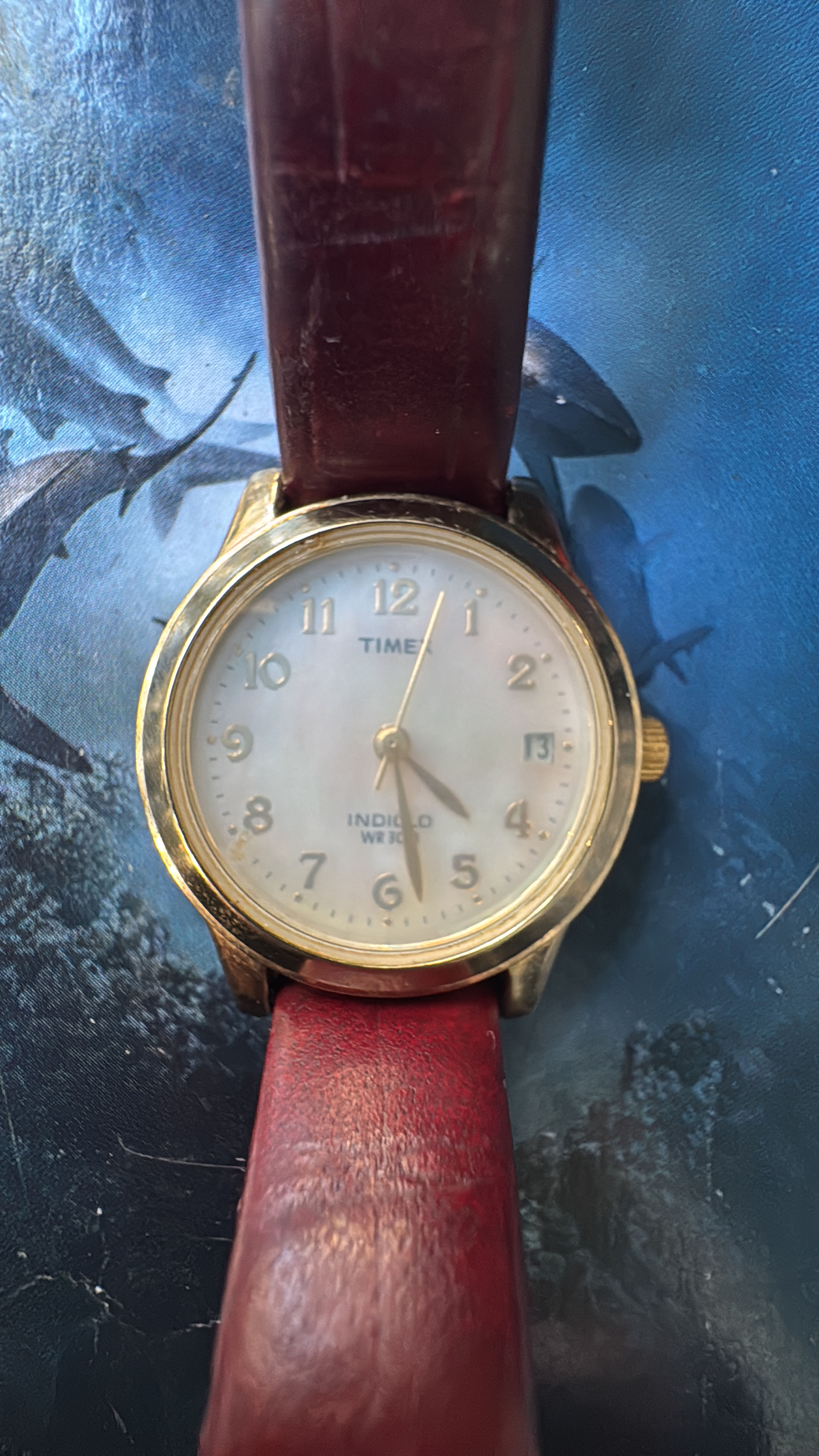 Timex Indiglo WR 30M Date Watch