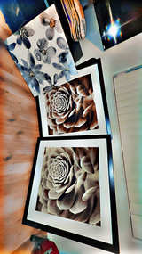 IKEA PJÄTTERYD Framed Succulent Wall Art - Image 1