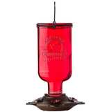 More Birds Elixir Hummingbird Feeder, Vintage Glass Medicine Bottle Hummingbird - Image 1