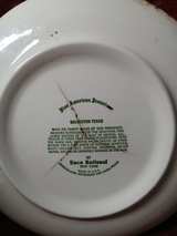 Vintage Galveston Texas Souvenir Plate Blue and White Transferware - Image 1