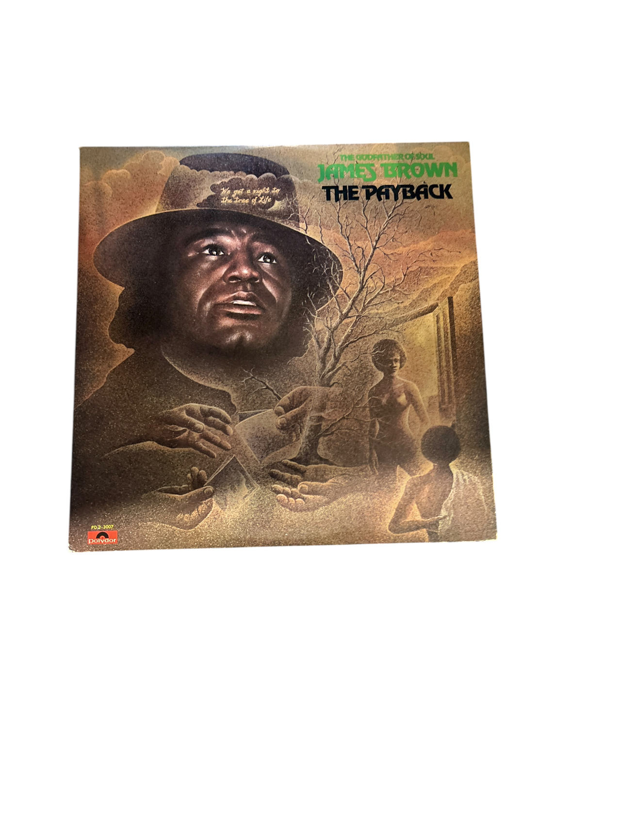 James Brown - The Payback Vinyl Record