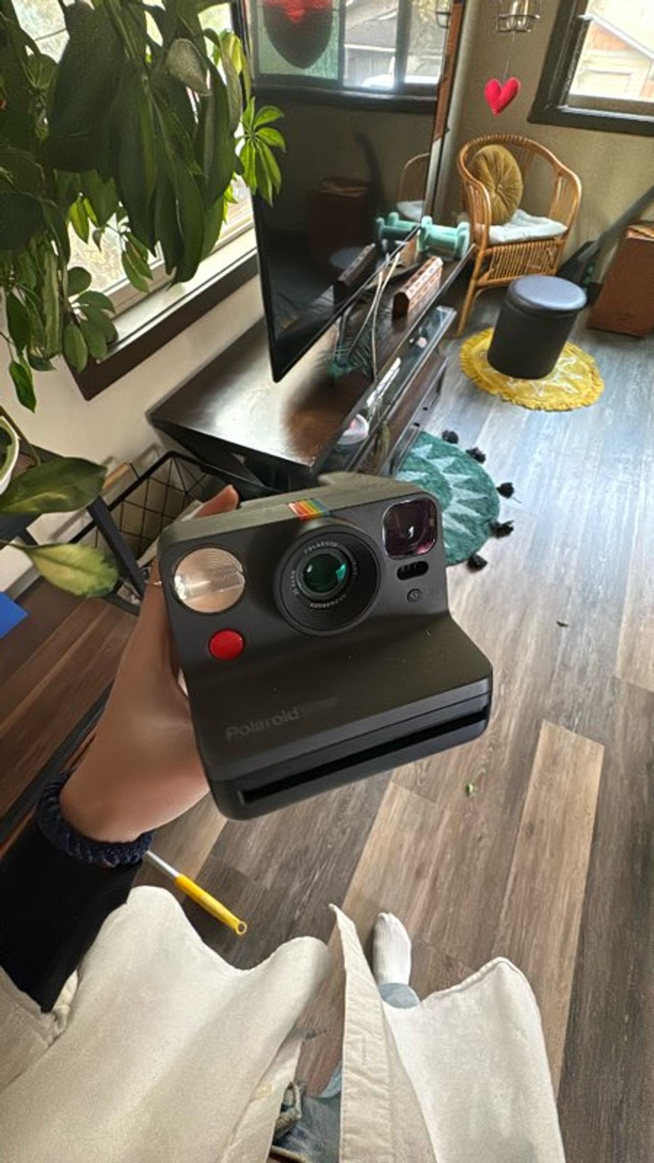 Polaroid Now