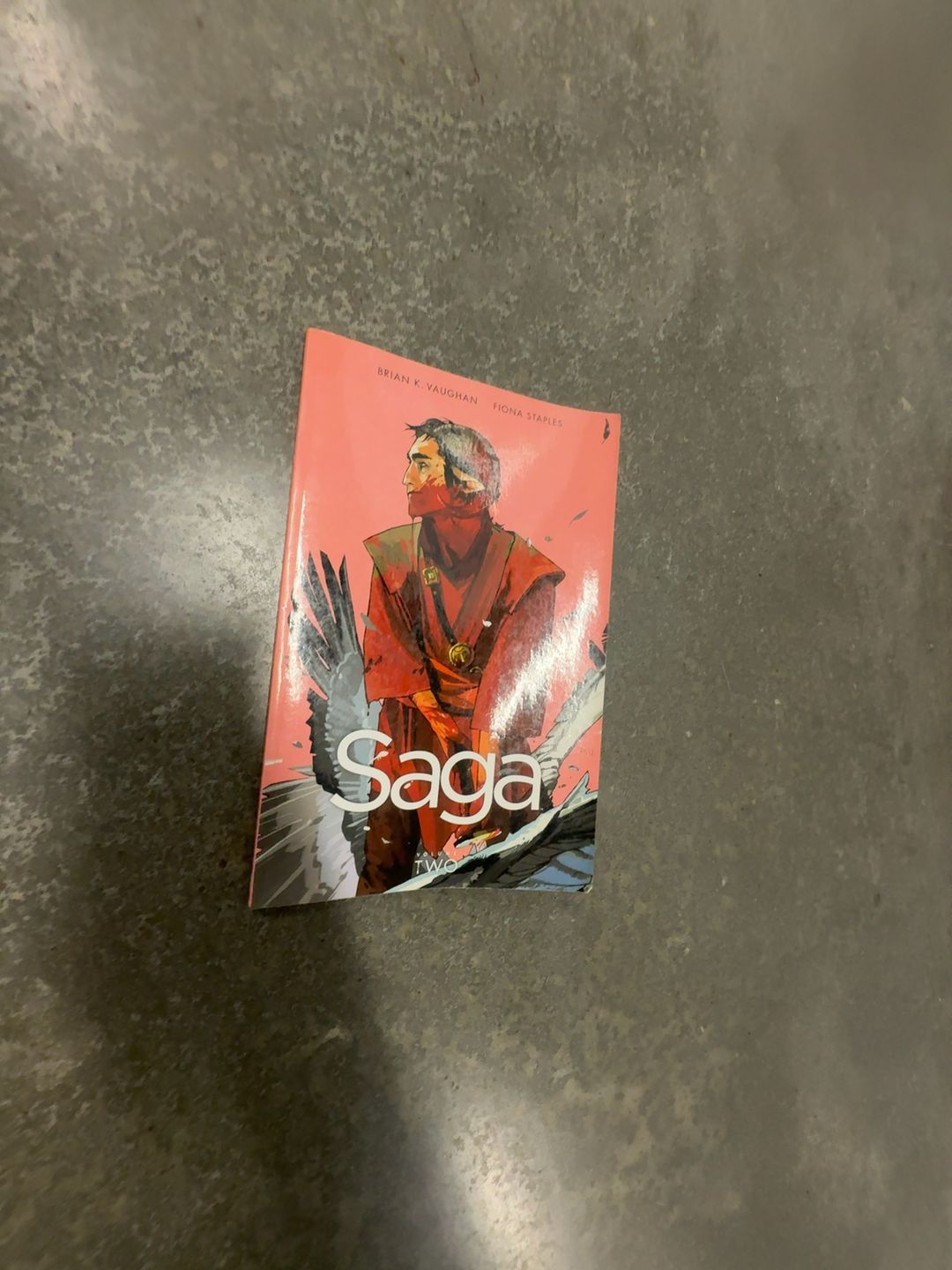 Saga #7 Chapter Seven