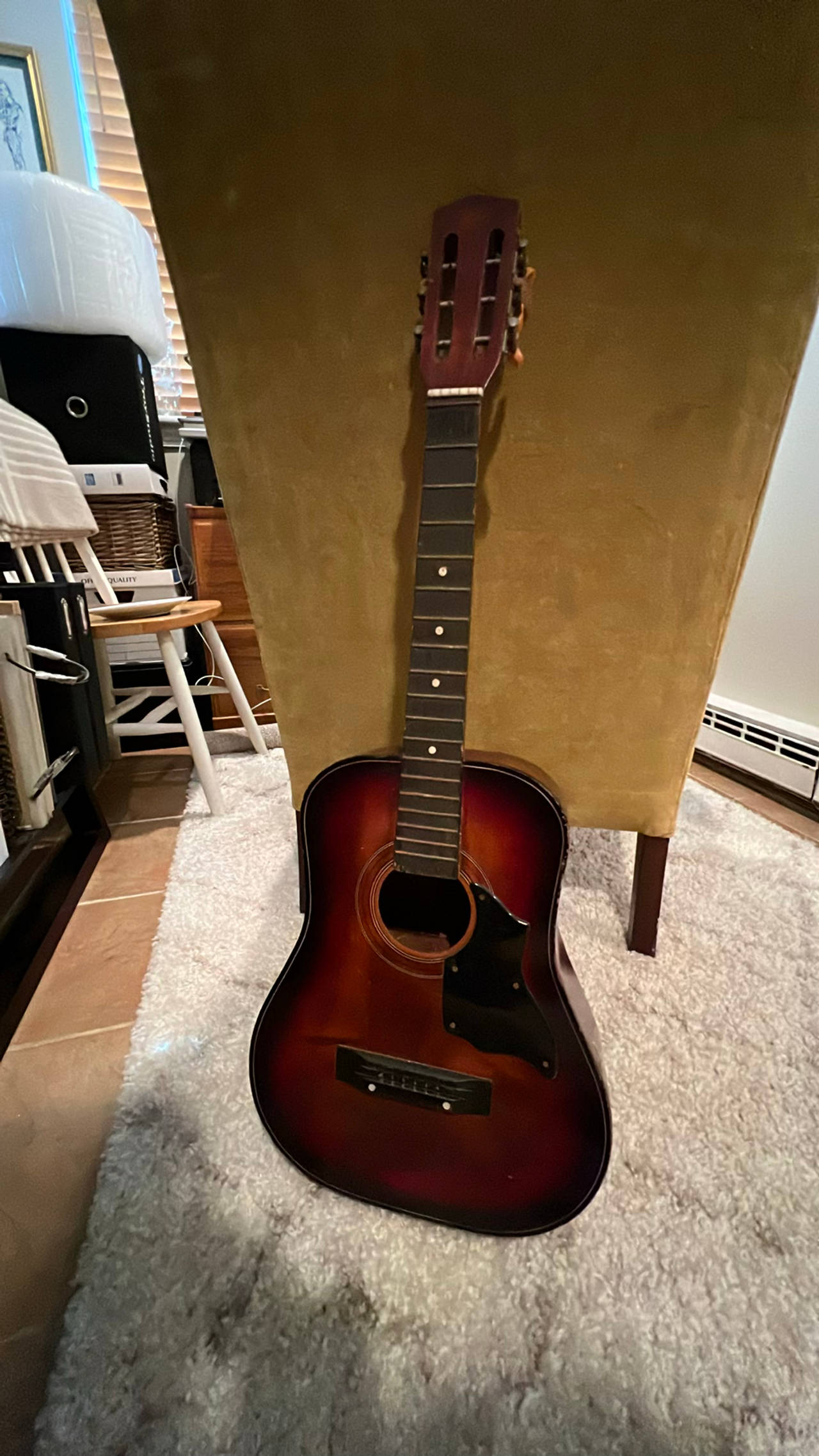 Acoustic Guitar