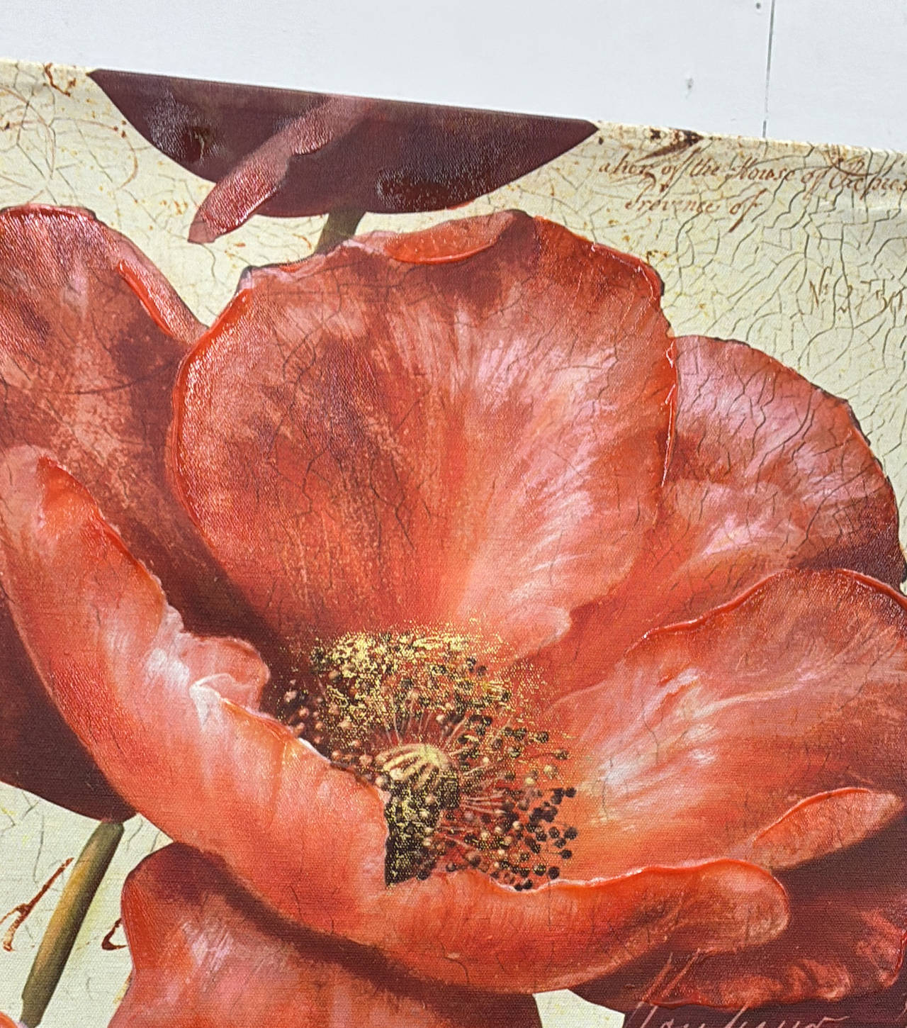 Red Poppy Floral Canvas Wall Art