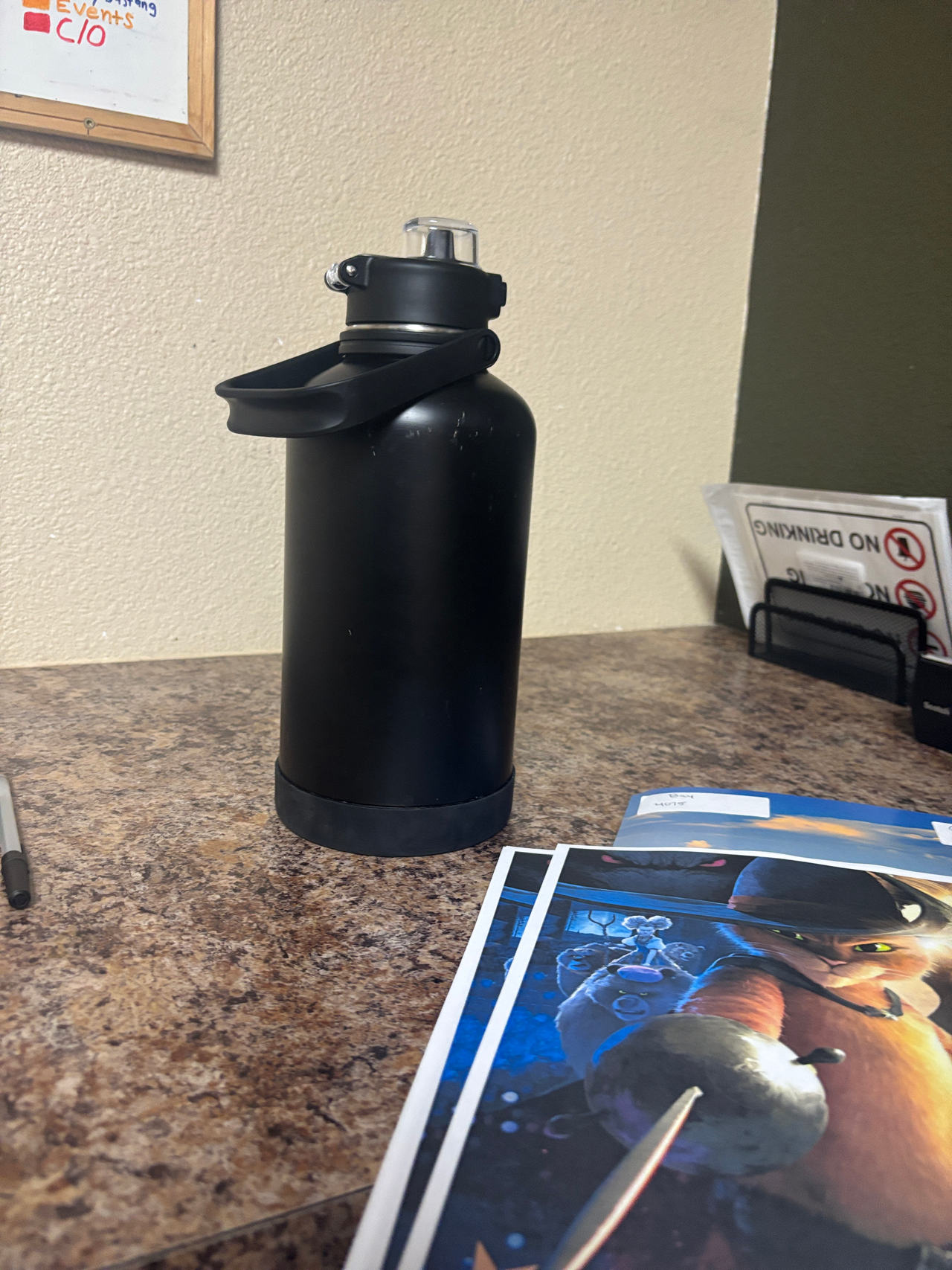 Stainless Steel Water Bottle