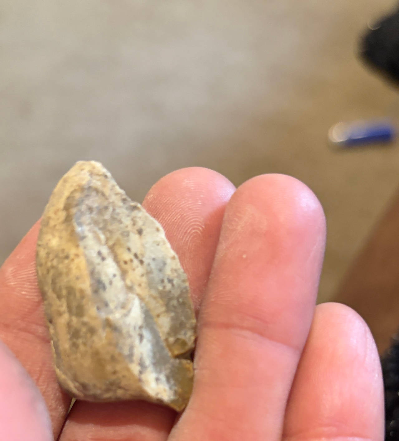 Native American Stone Arrowhead Artifact