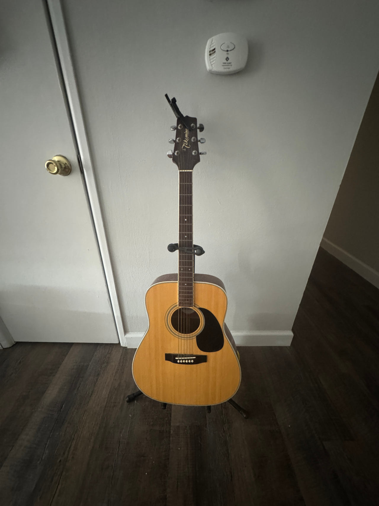 Yamaha FG800 Acoustic Guitar