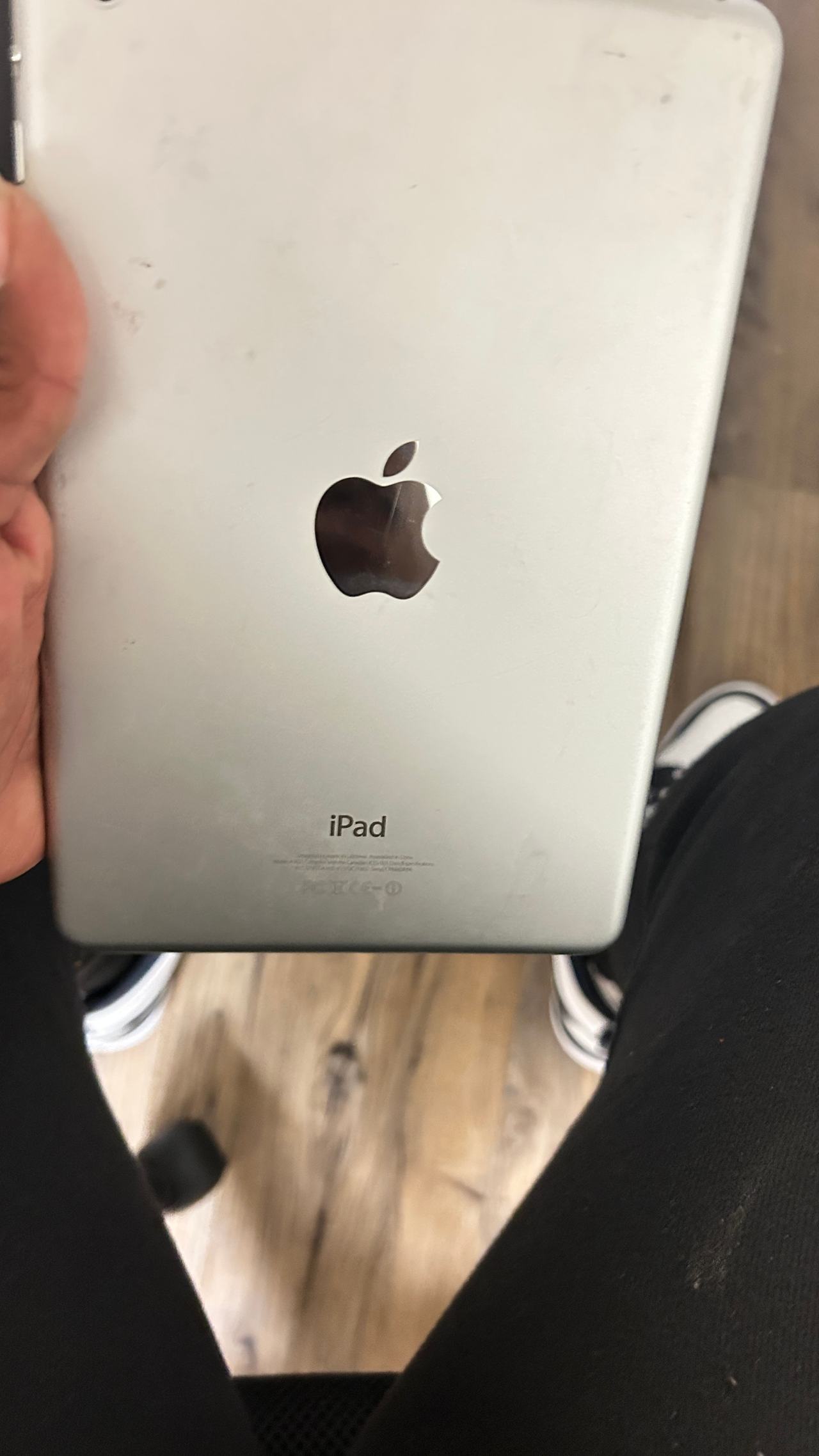 Apple iPad mini