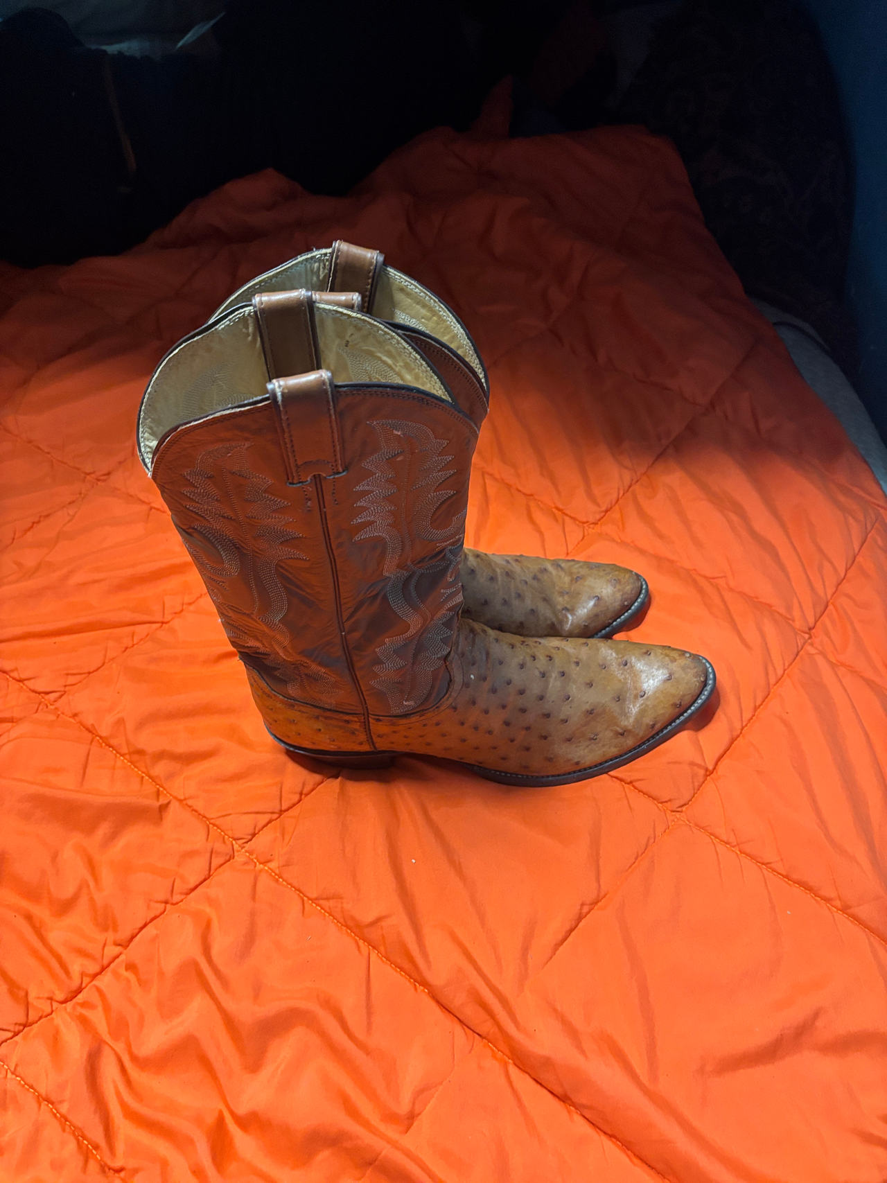 Ostrich Leather Cowboy Boots