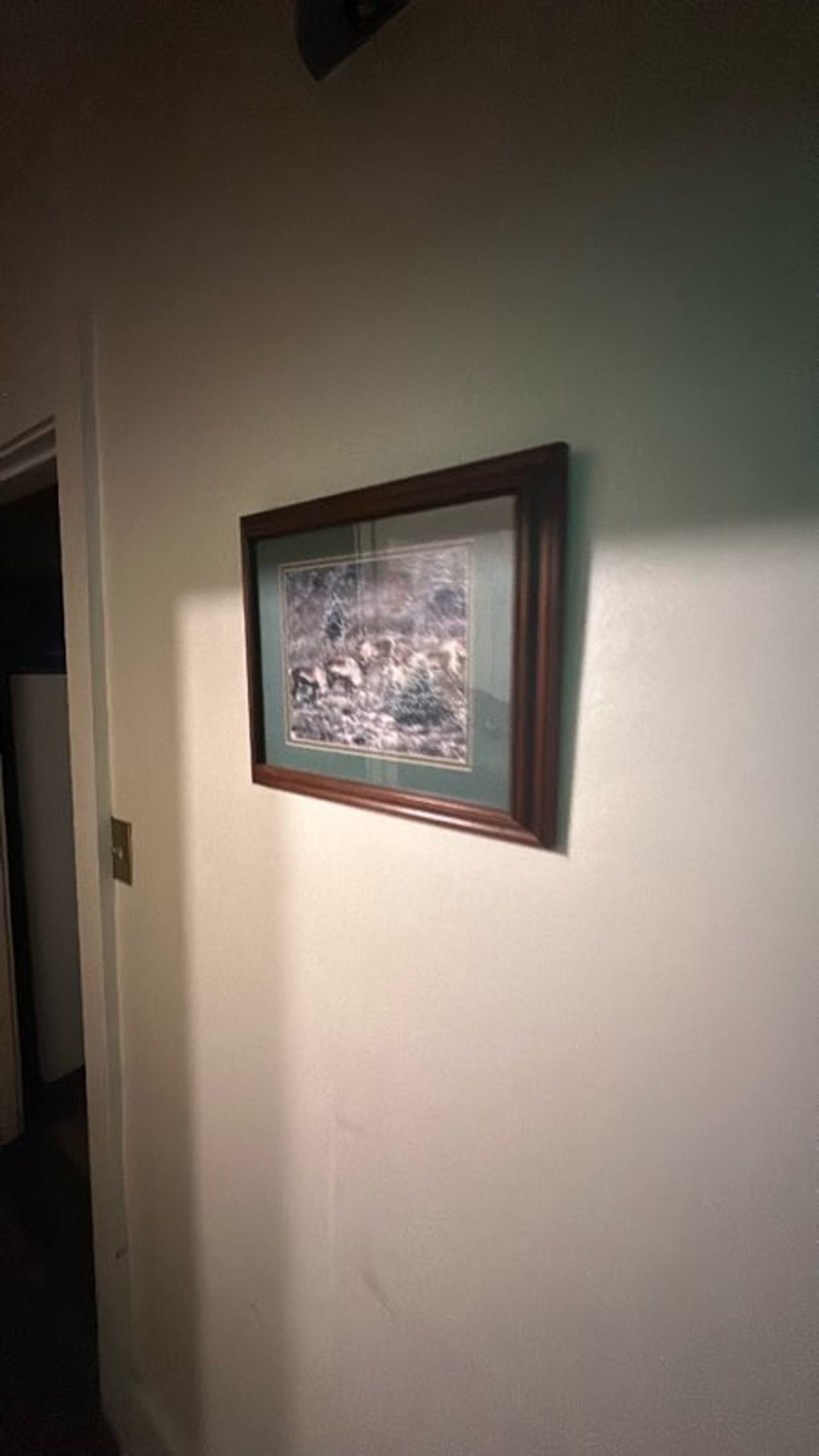 Framed Wall Art