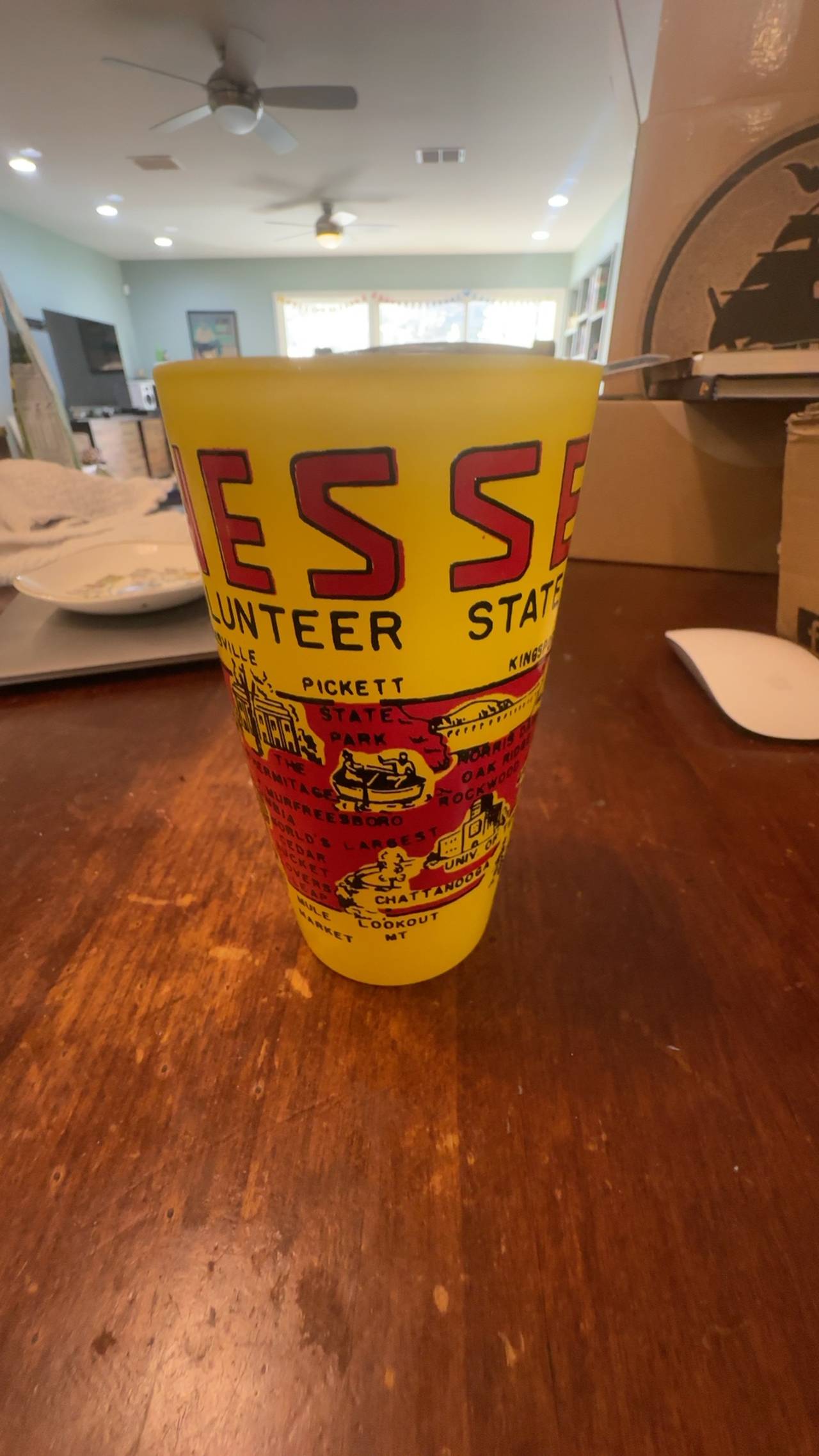 Hazel Atlas Tennessee Yellow Frosted Glass Tumbler