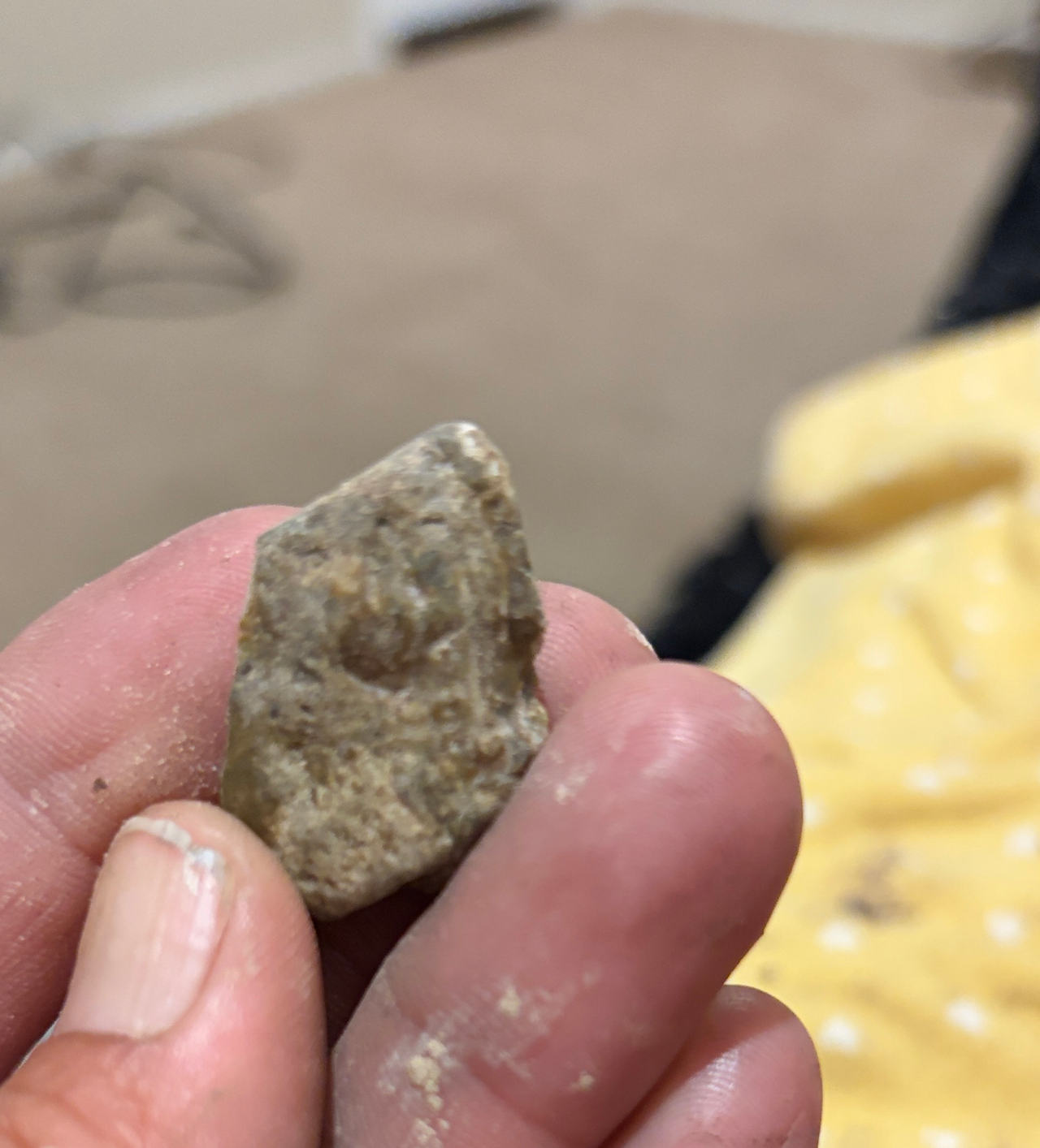 Native American Arrowhead Fragment