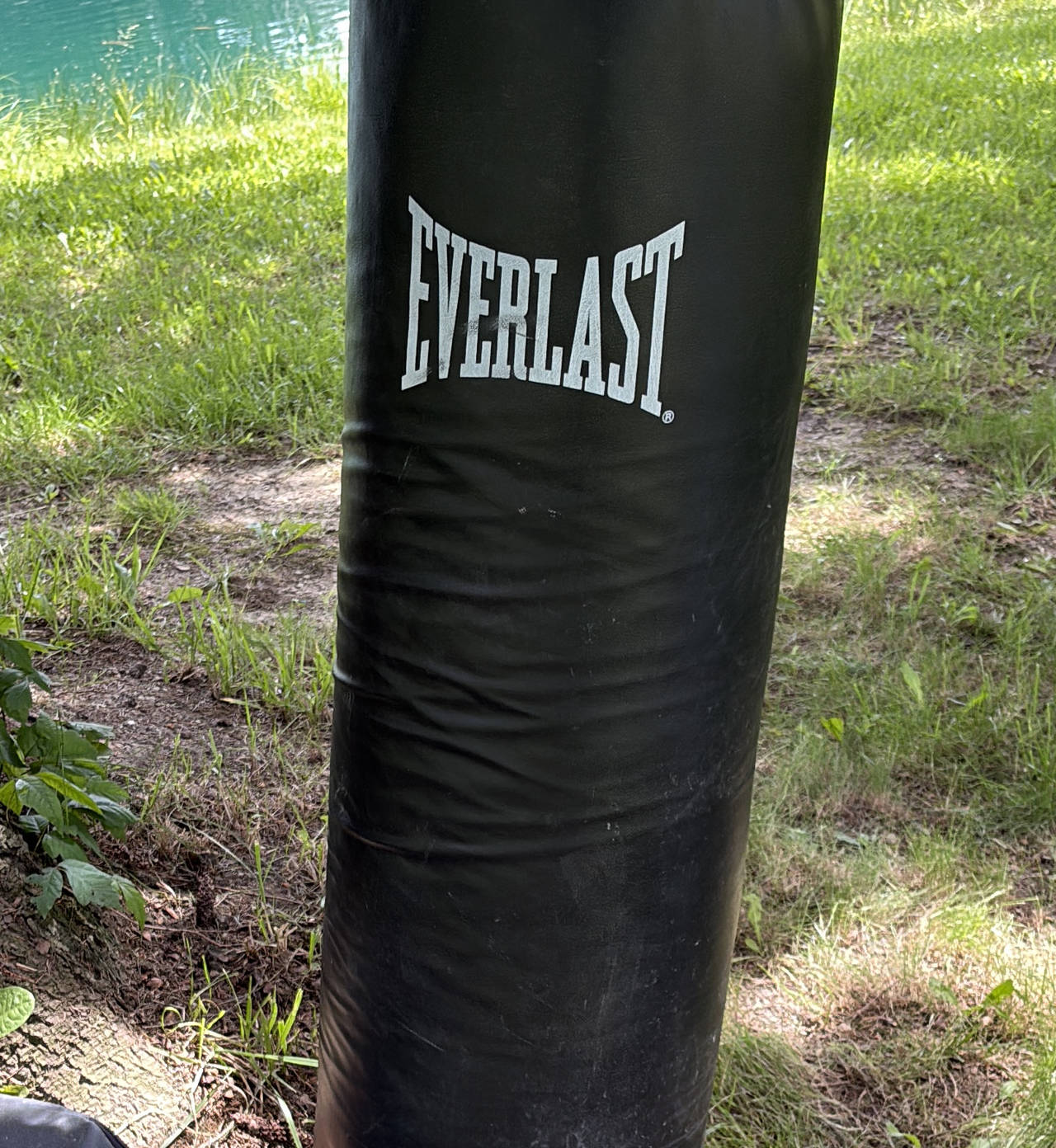 Everlast Nevatear Heavy Bag