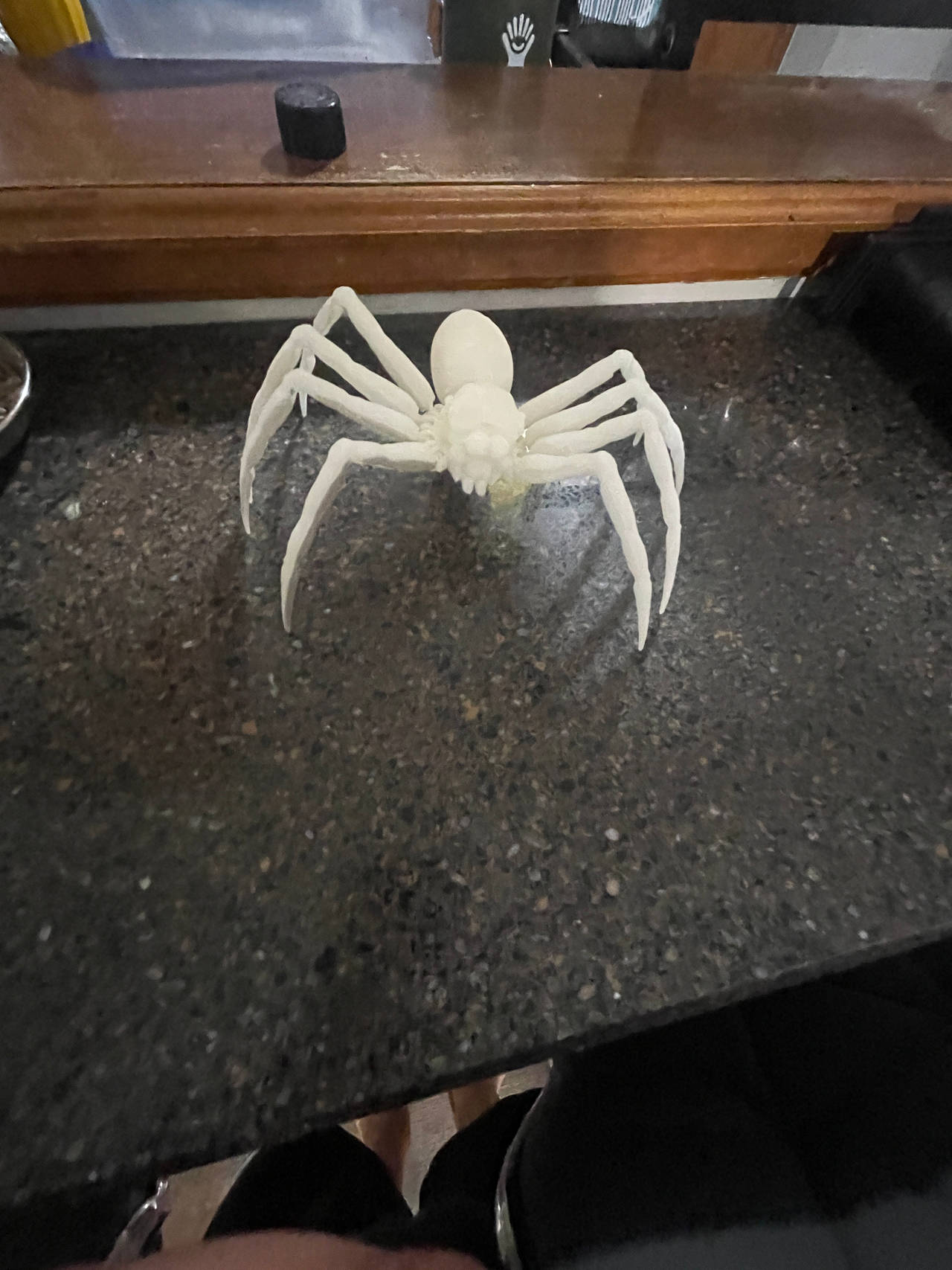 3D Printed Spider Model
