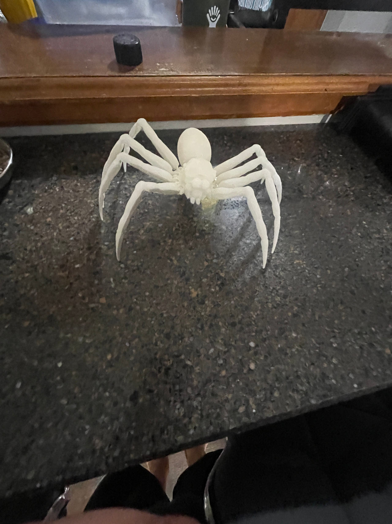 3D Printed Spider Model