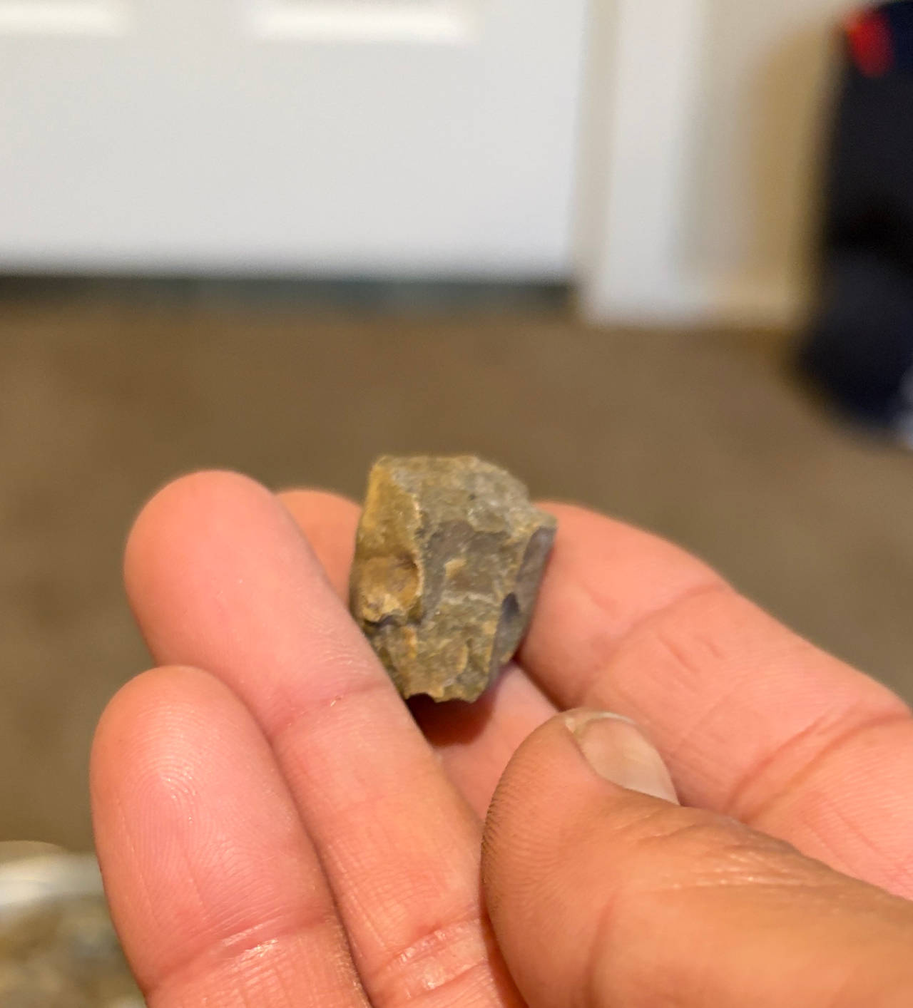 Native American Chert Flake Tool