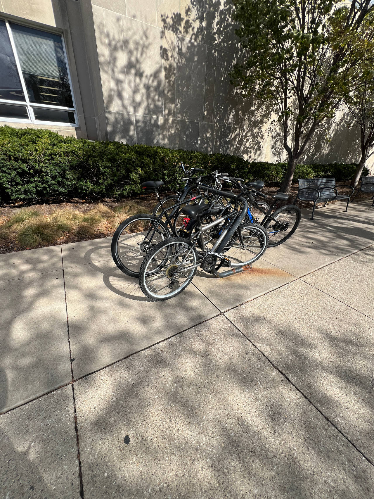 Bicycle