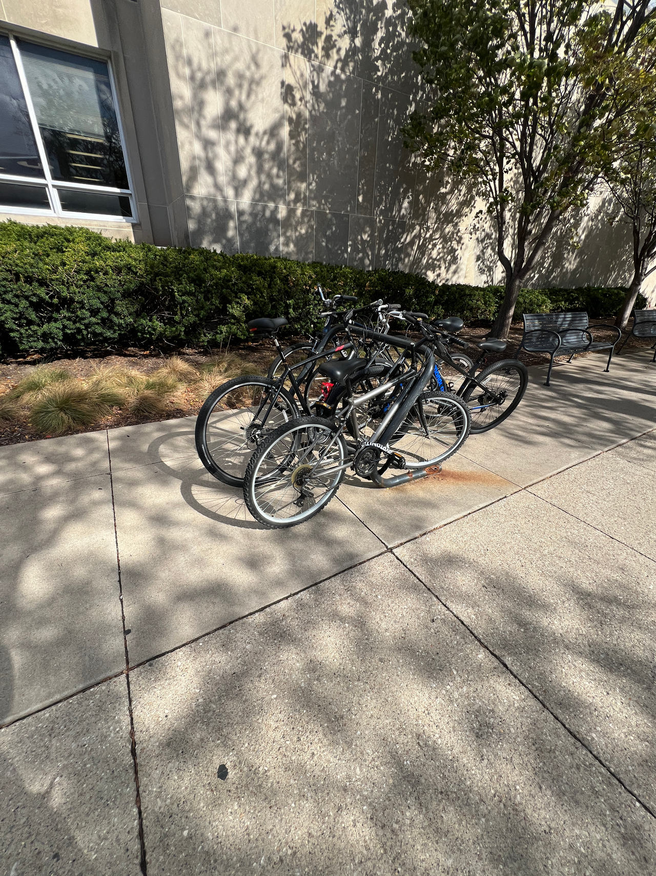 Bicycle