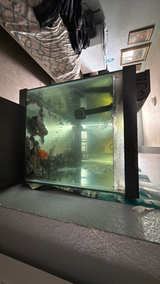 Glass Aquarium Fish Tank - Image 2