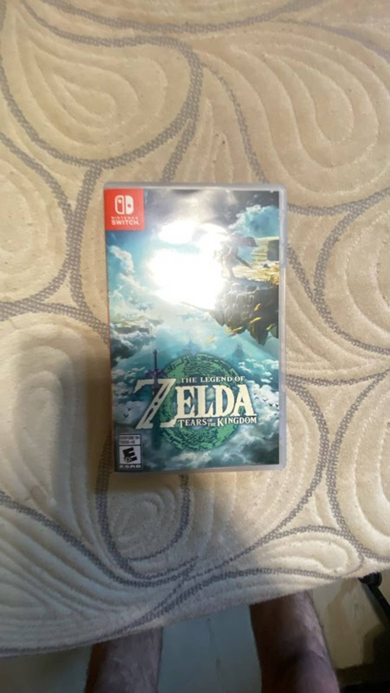 The Legend of Zelda: Tears of the Kingdom