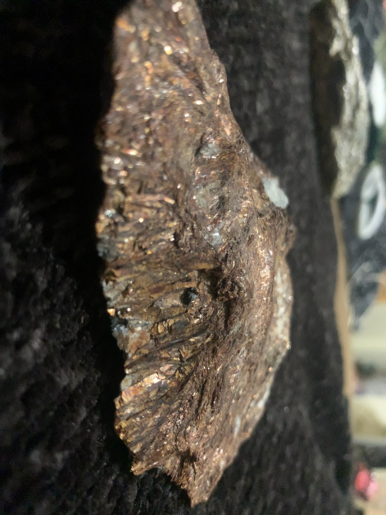 Astrophyllite Crystal Specimen 4.5" x3.25" x1.5"