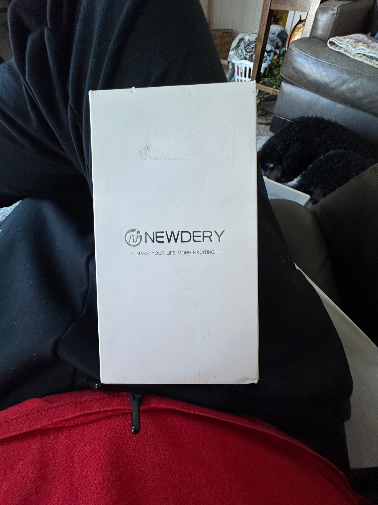 Newdery Battery Case