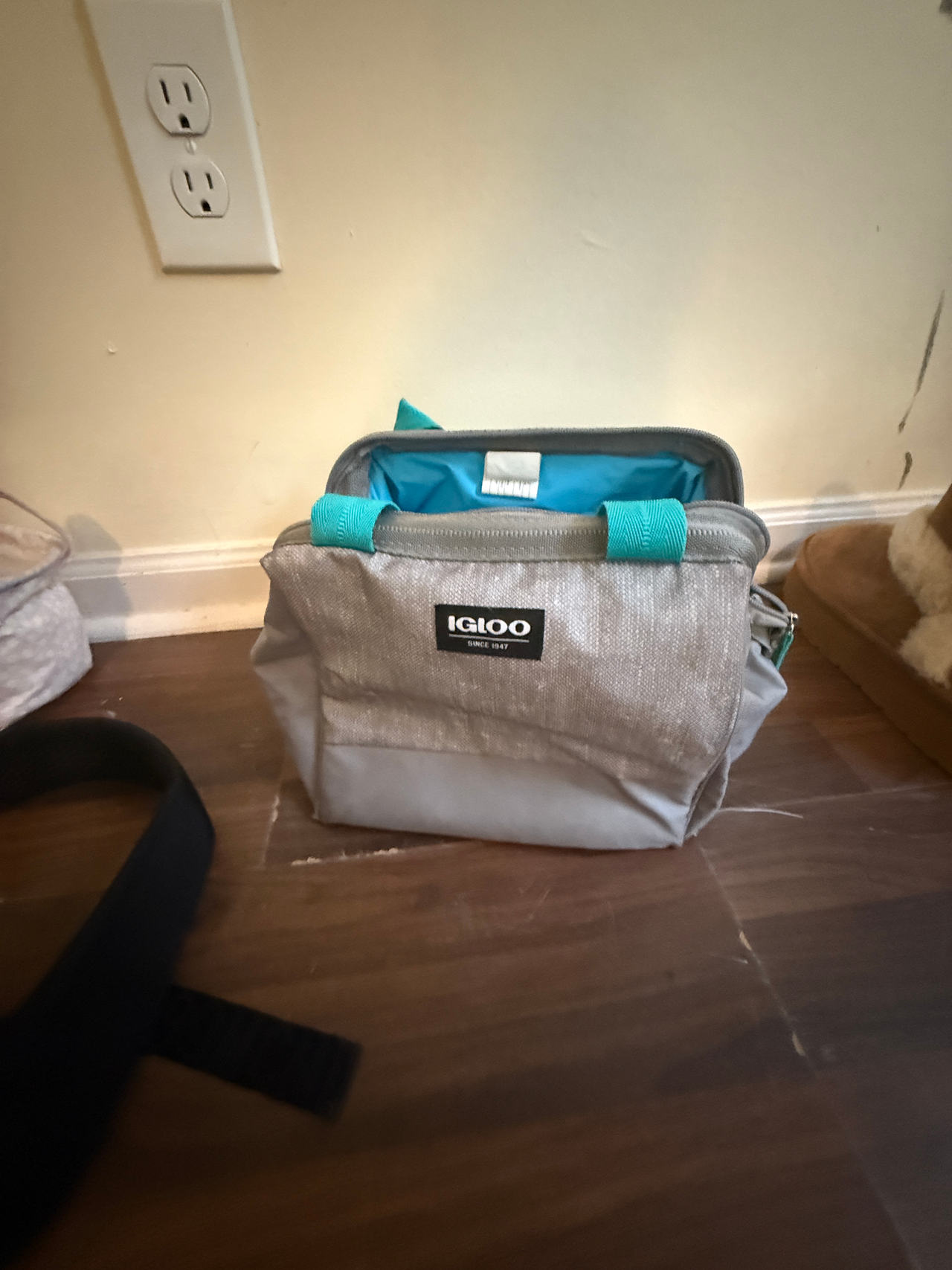 Igloo Lunch Tote
