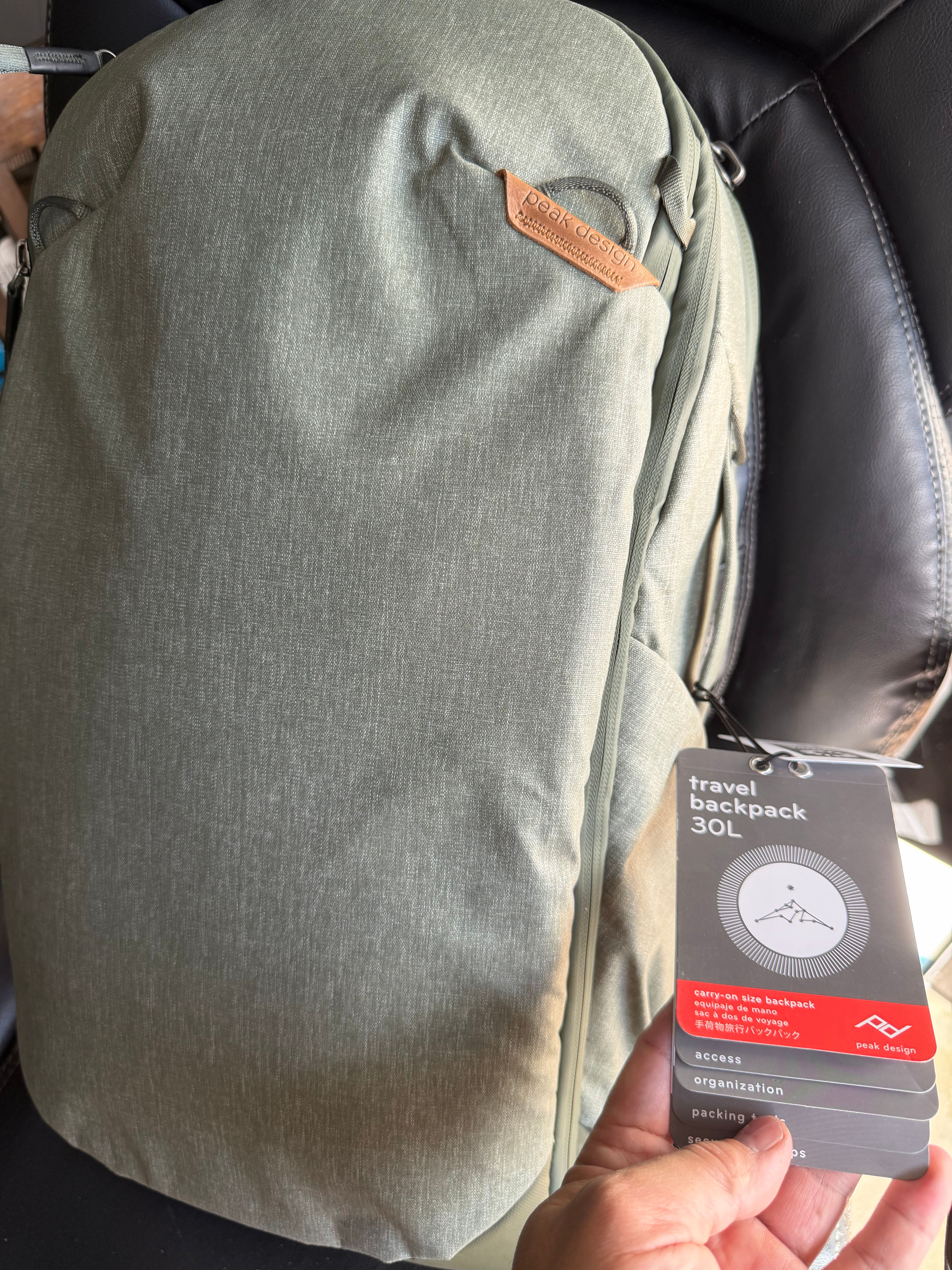 Peak Design Travel Backpack 30L Sage