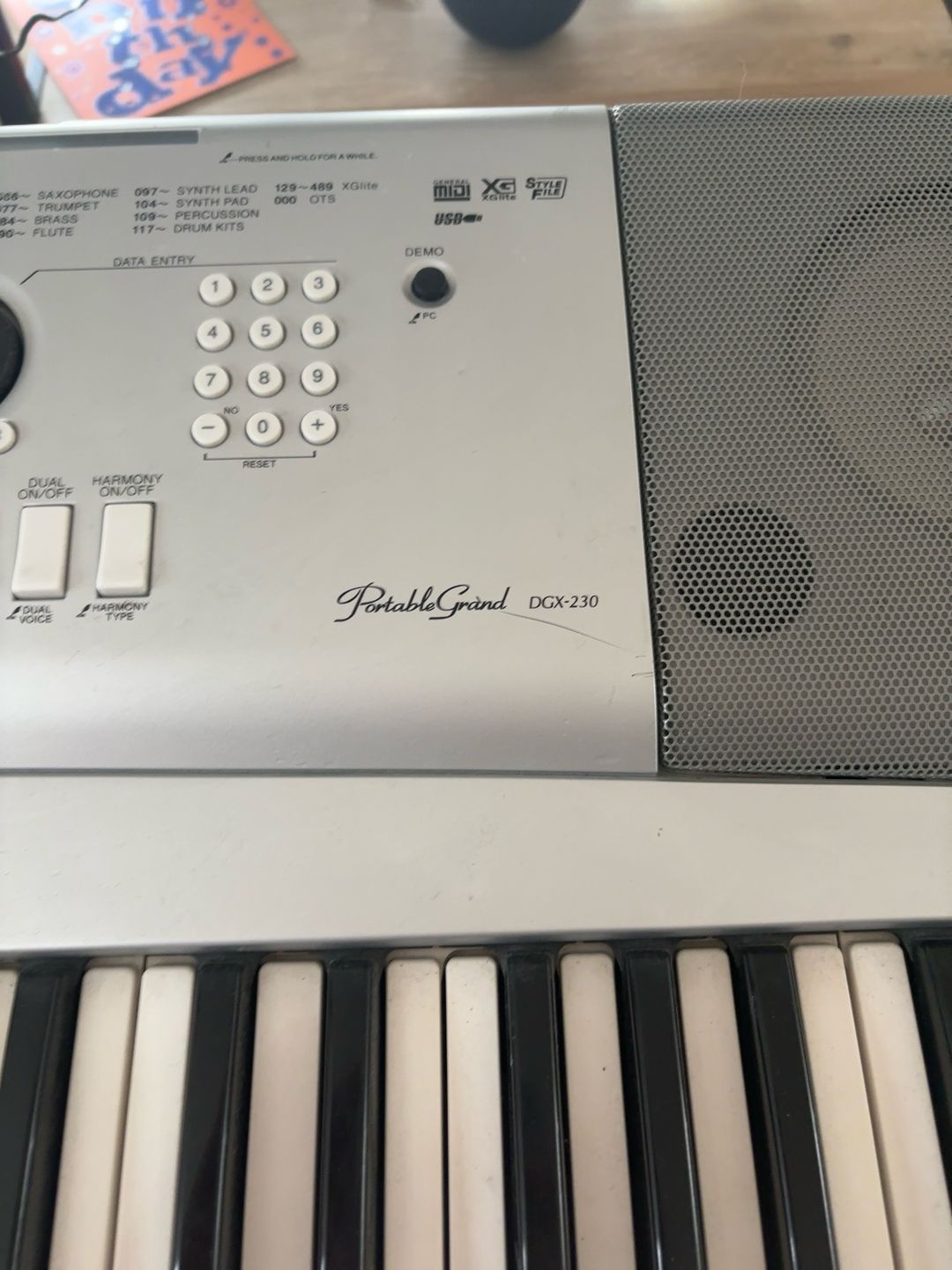 Yamaha DGX-230 Portable Grand Piano 76-Key