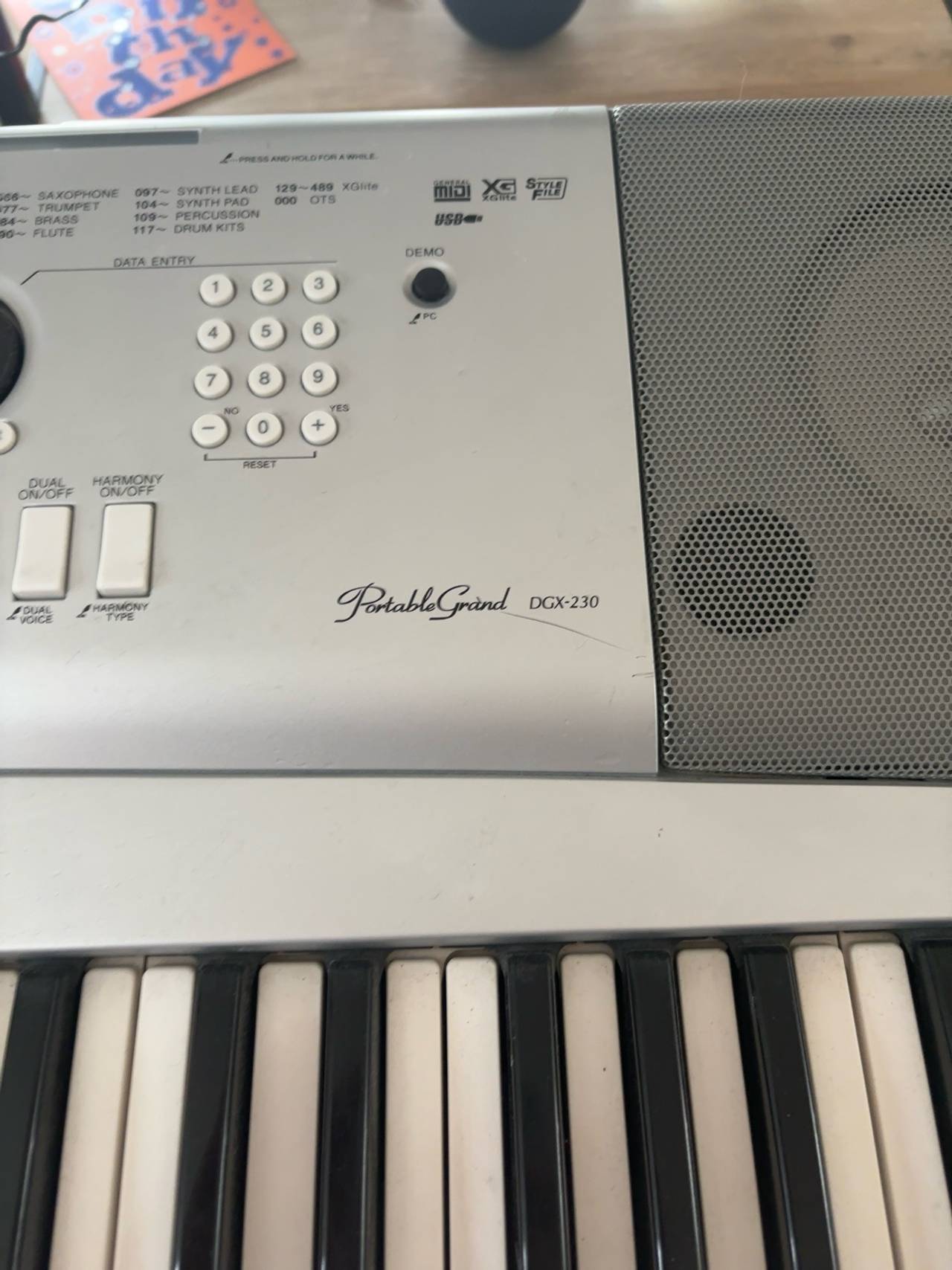 Yamaha DGX-230 Portable Grand Piano 76-Key