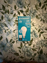 Ecosmart LED Light Bulb - Image 1