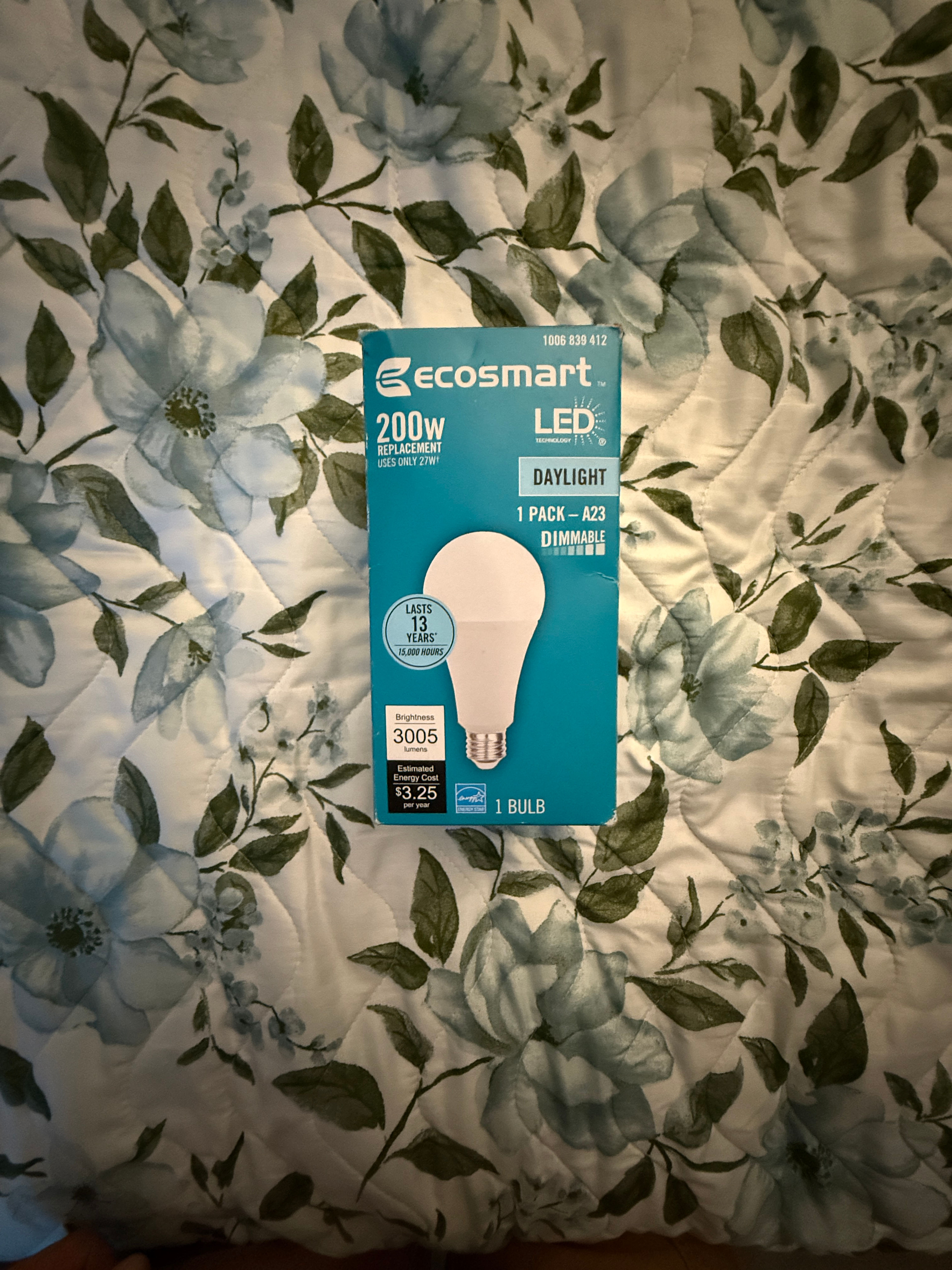 Ecosmart LED Light Bulb