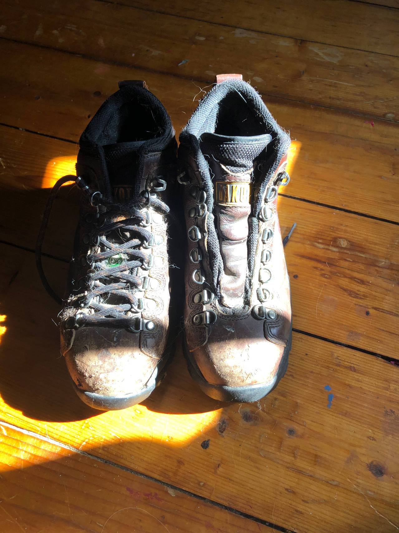 Dakota Work Boots