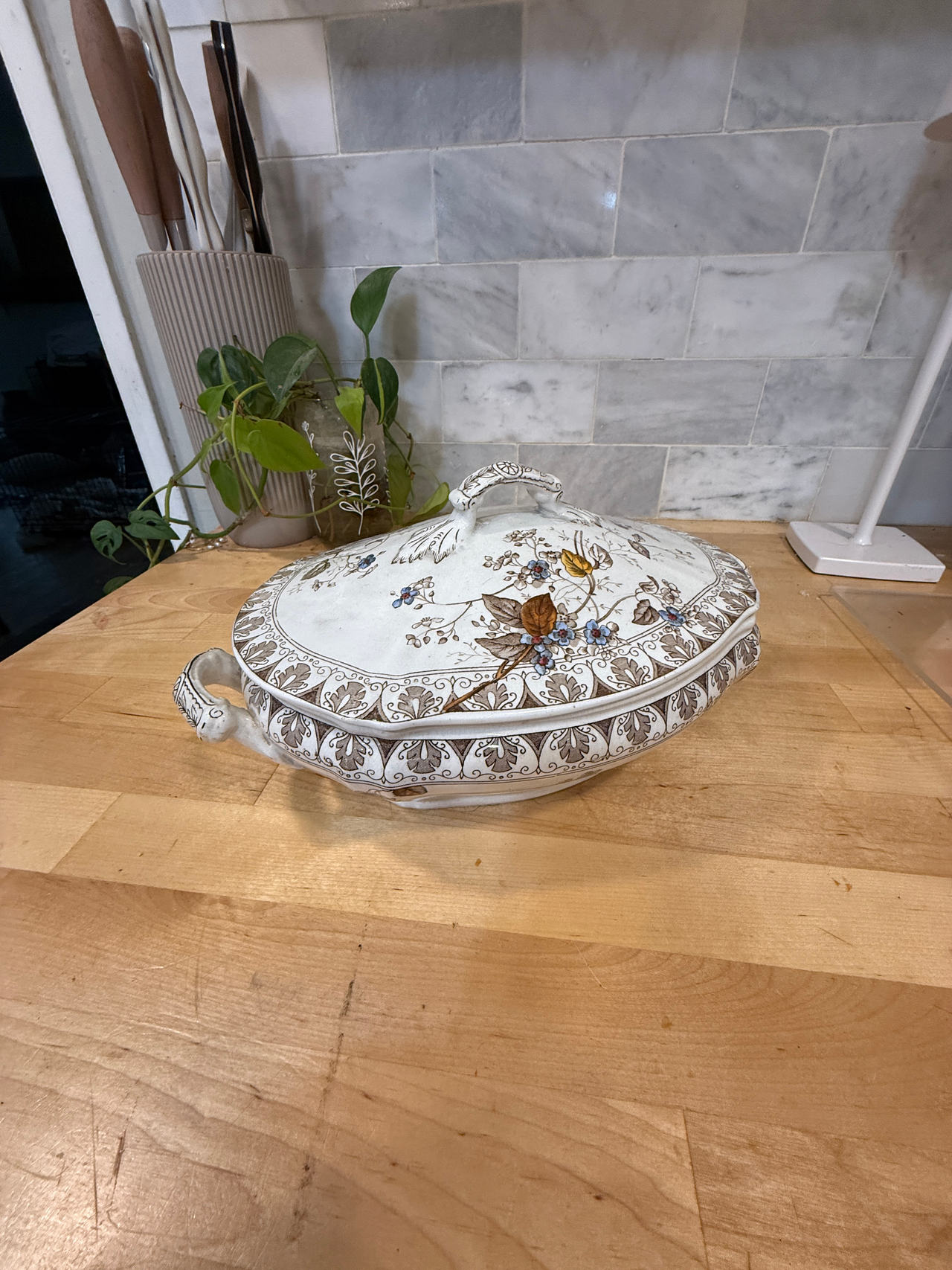 Antique Alfred Meakin Rosalind Pattern Parisian Granite Tureen