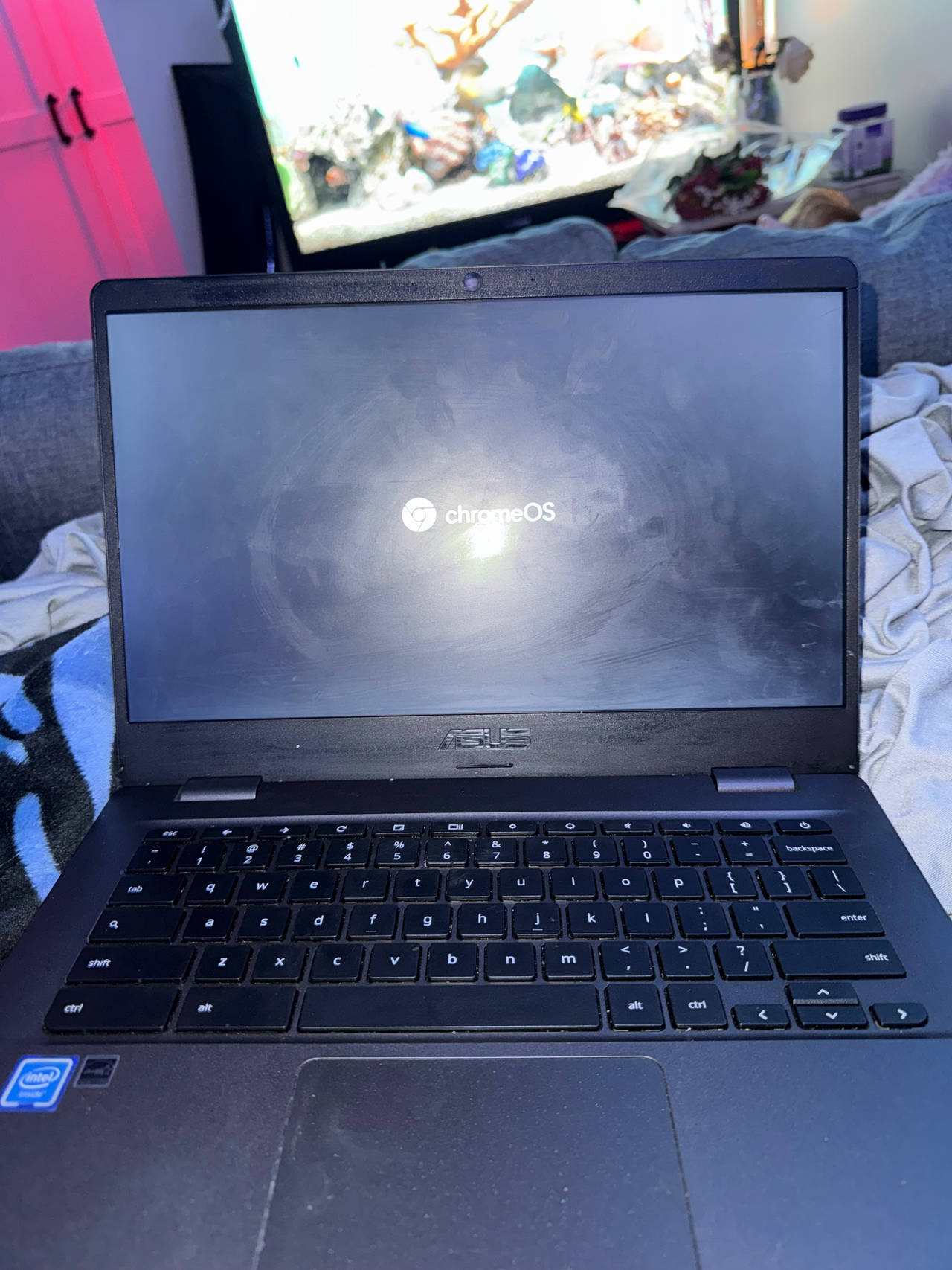ASUS Chromebook