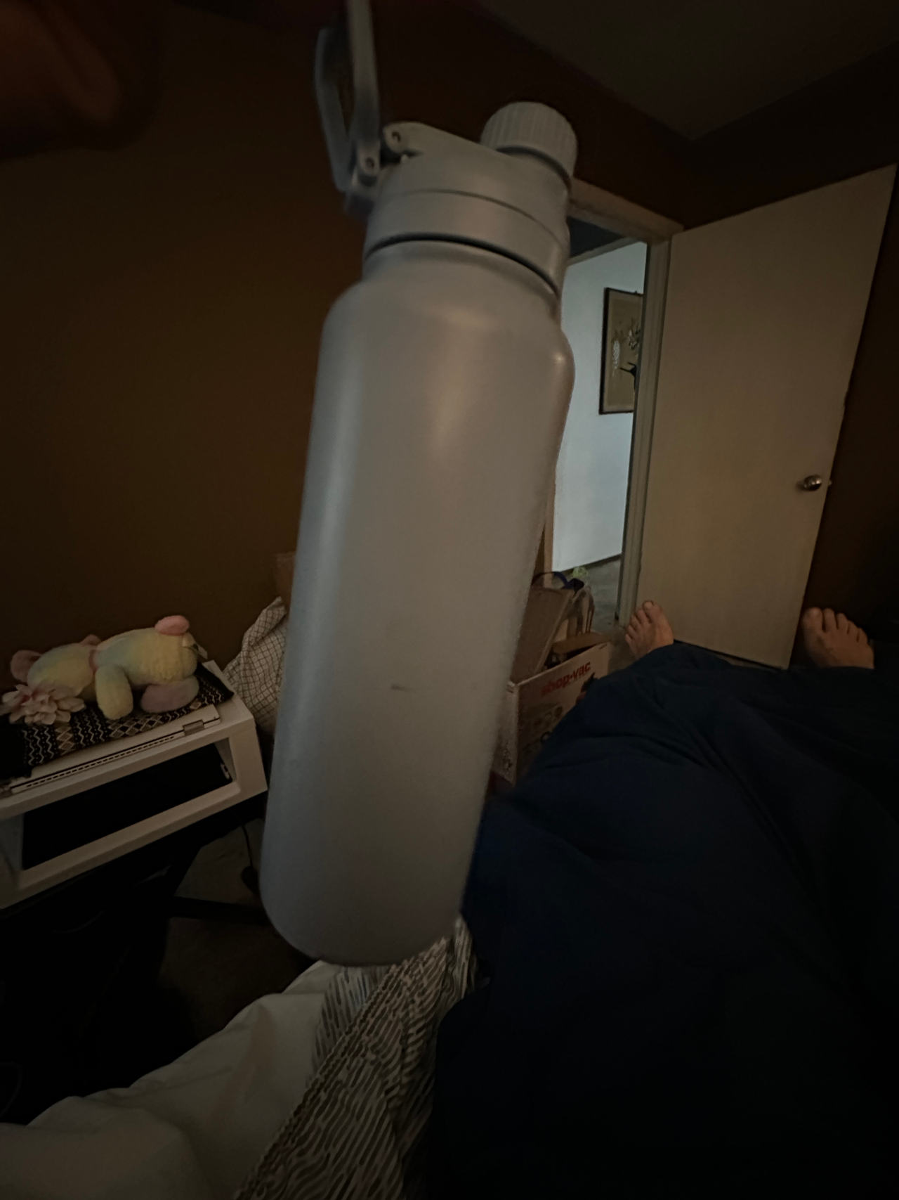 Metal insulated Water Bottle
