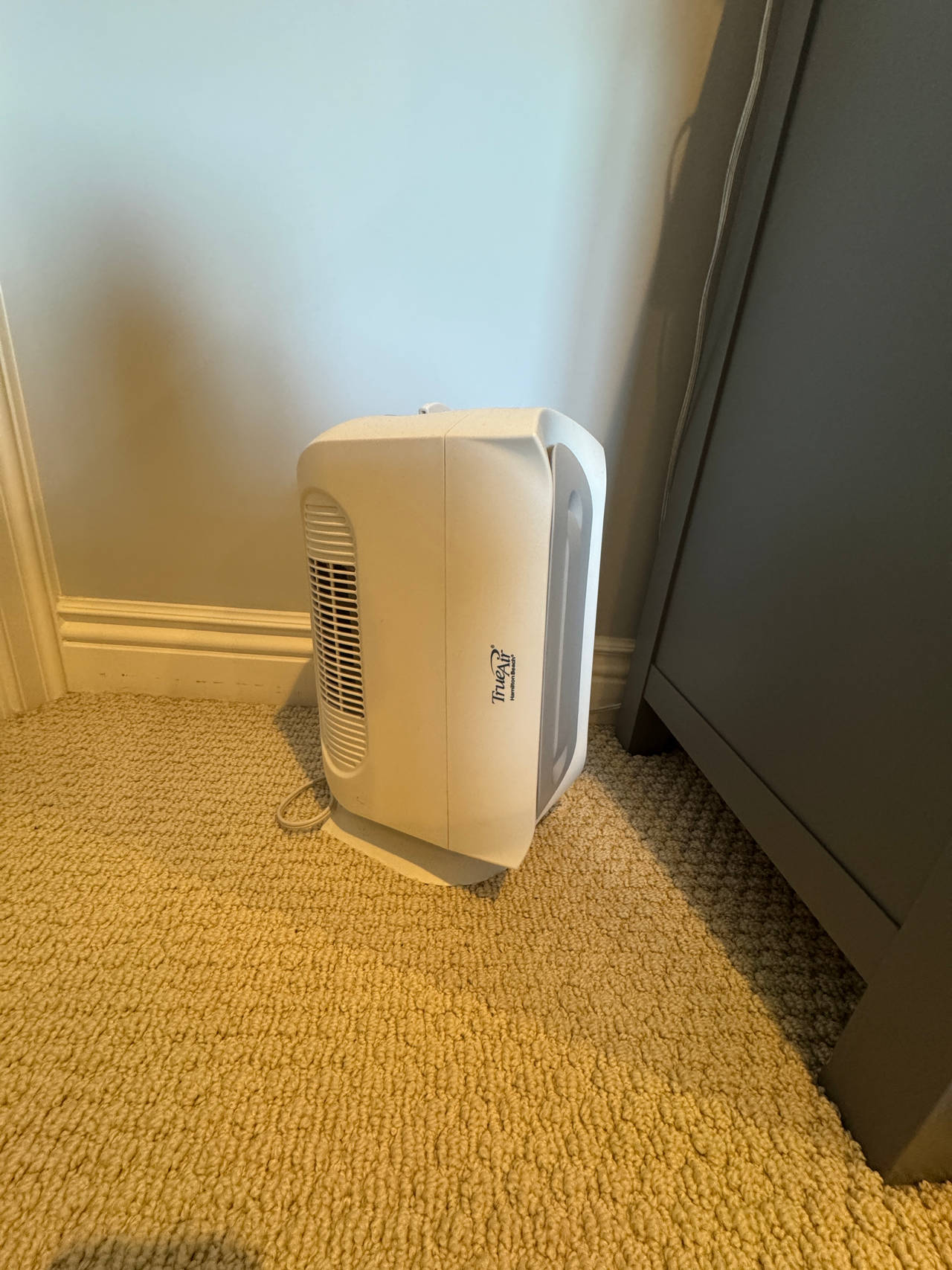 TrueAir Air Purifier
