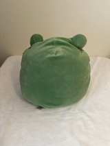 Squishmallows Gloria the Frog 14-inch Plush - Image 2