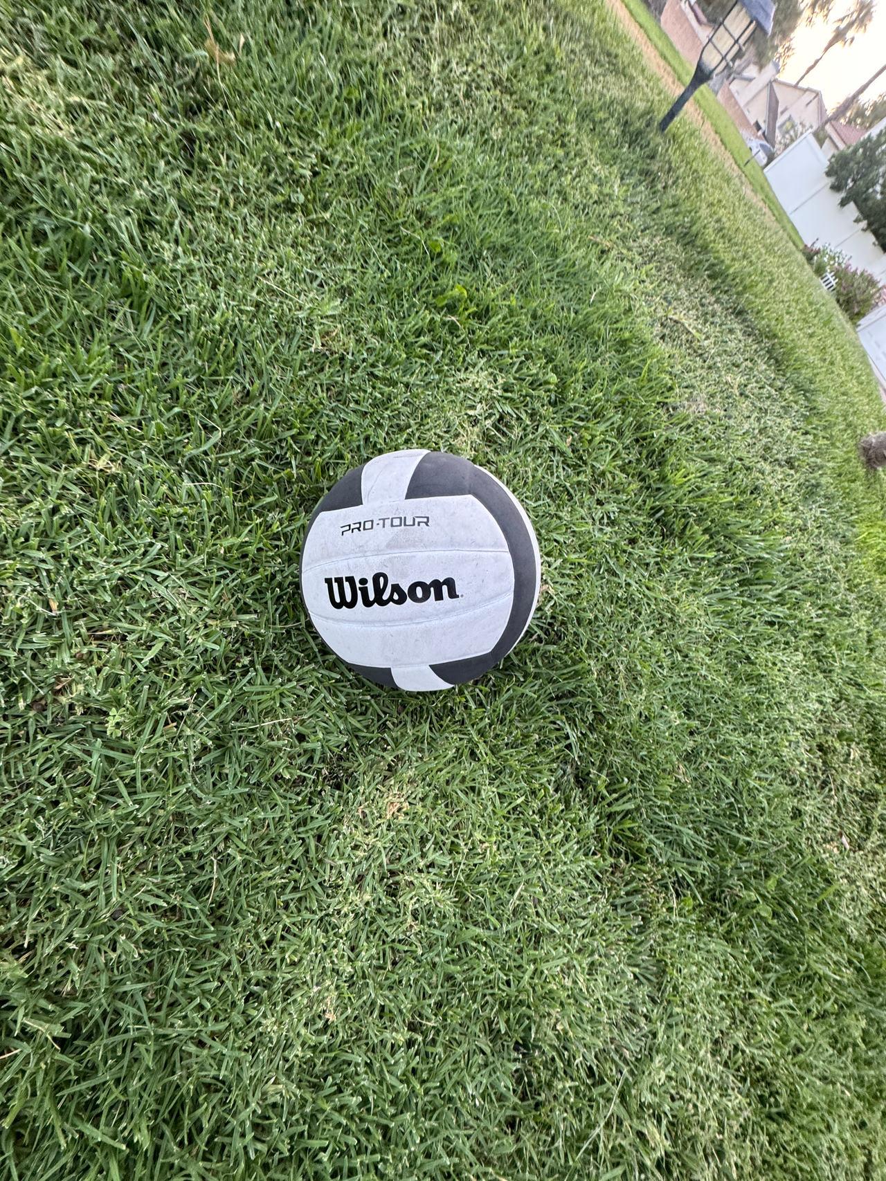 Wilson Pro Tour Volleyball