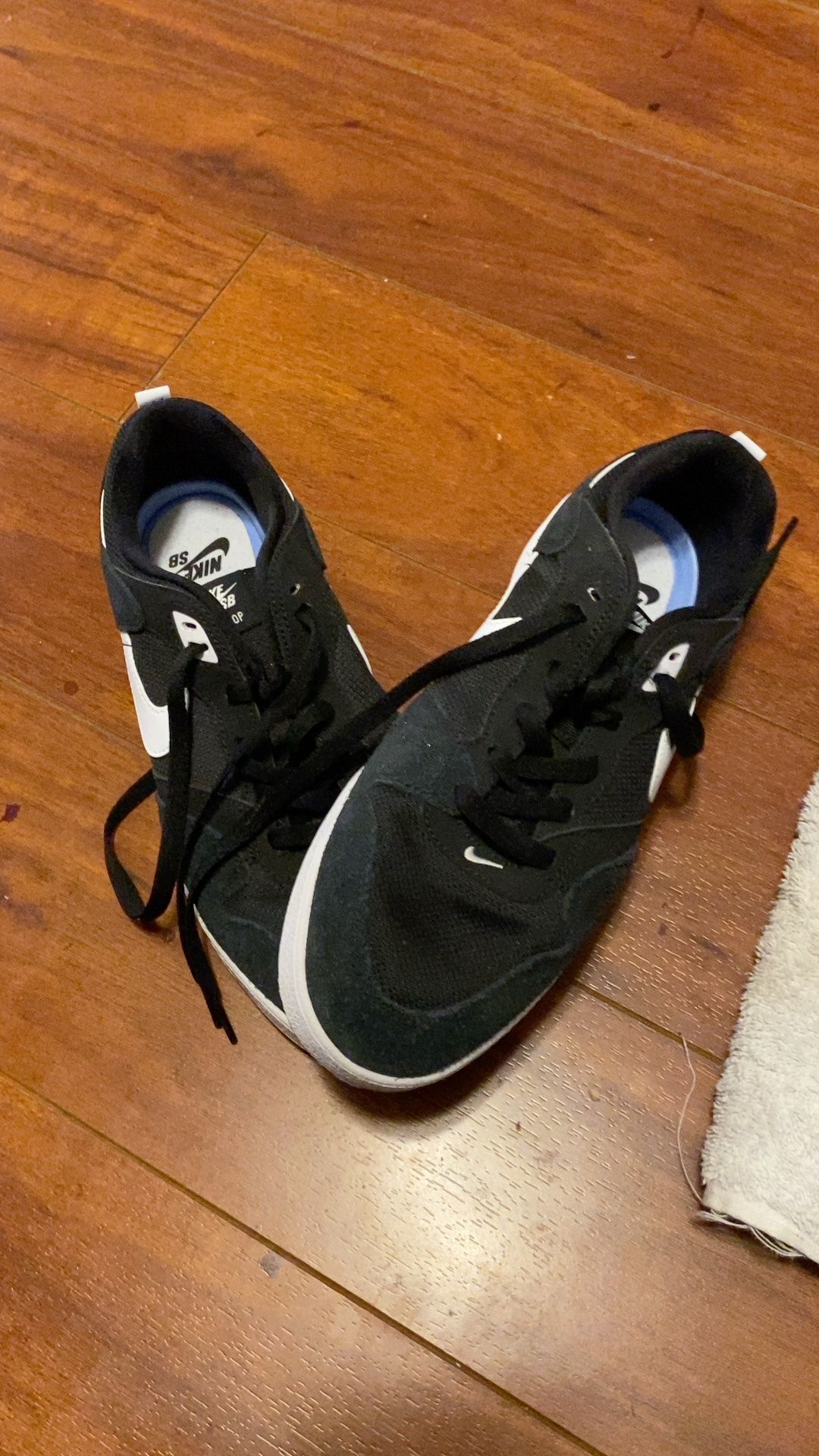 Nike SB Alleyoop Black/White Skate Shoes