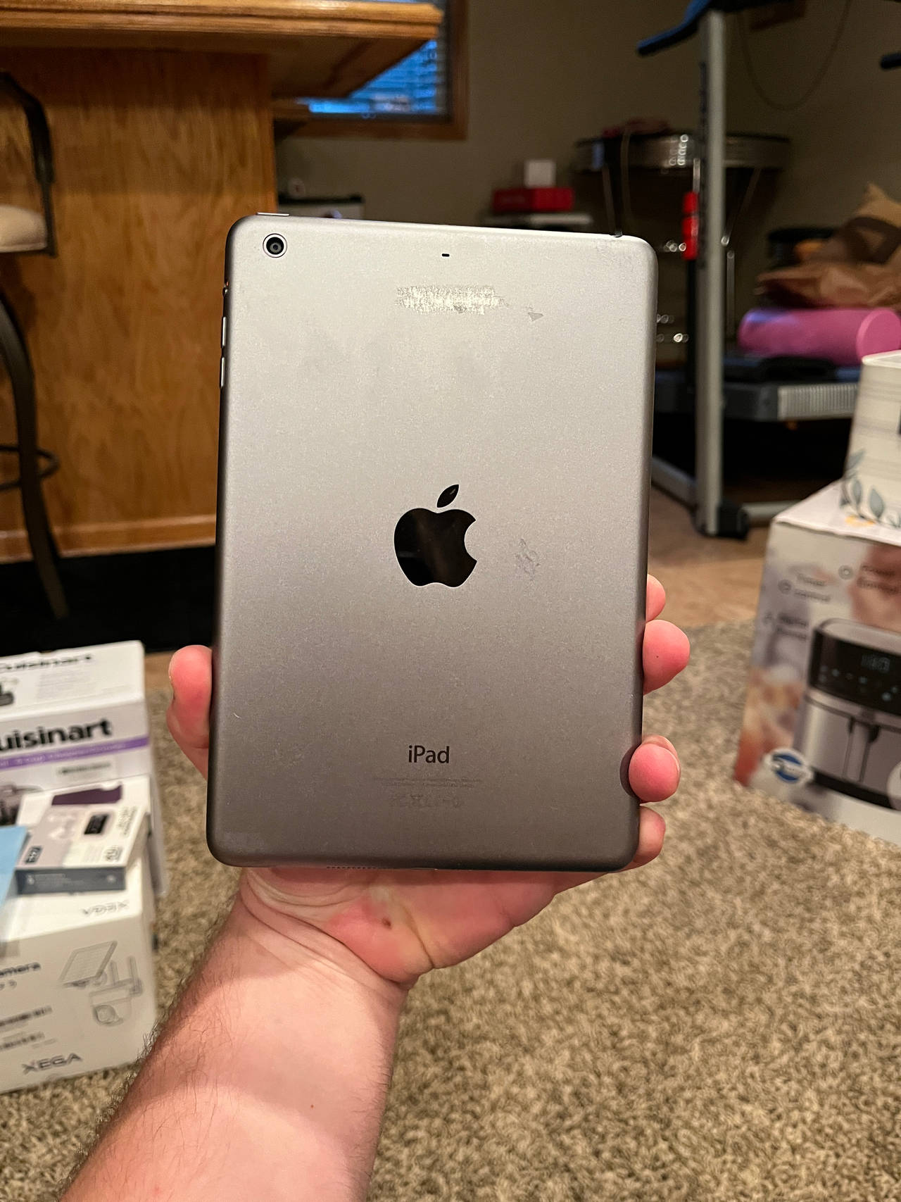 iPad Mini 2