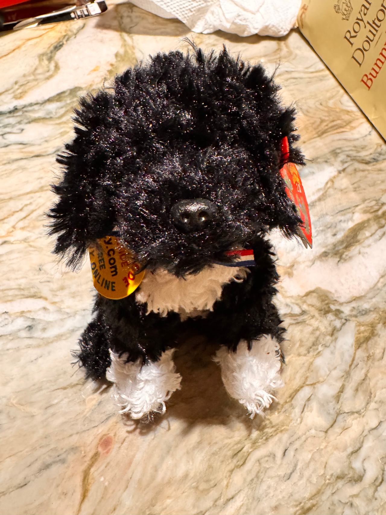 TY Beanie Baby Bo Portuguese Water Dog 6-inch Plush