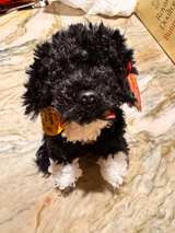 TY Beanie Baby Bo Portuguese Water Dog 6-inch Plush - Image 1