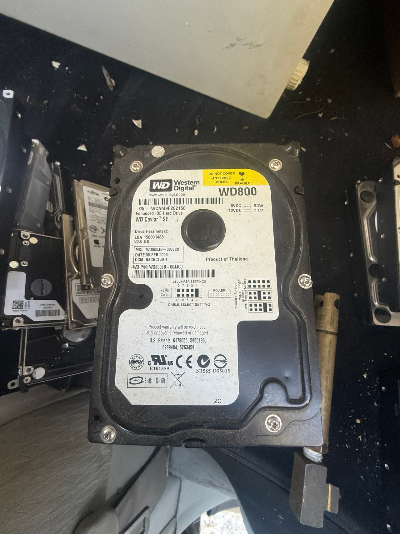 Western Digital WD800 80GB IDE Hard Drive