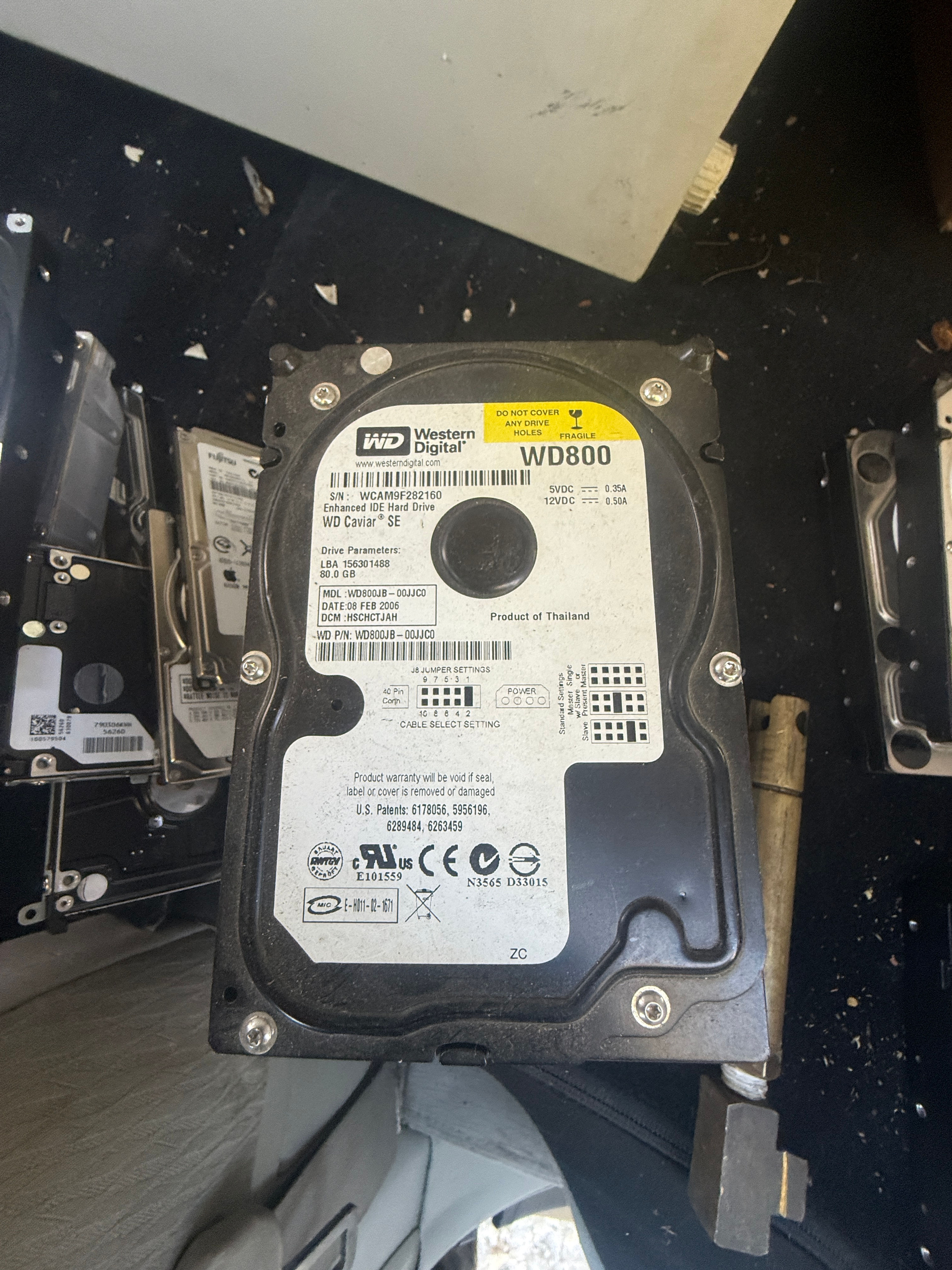 Western Digital WD800 80GB IDE Hard Drive