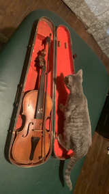 Stradivarius Violin - Image 3