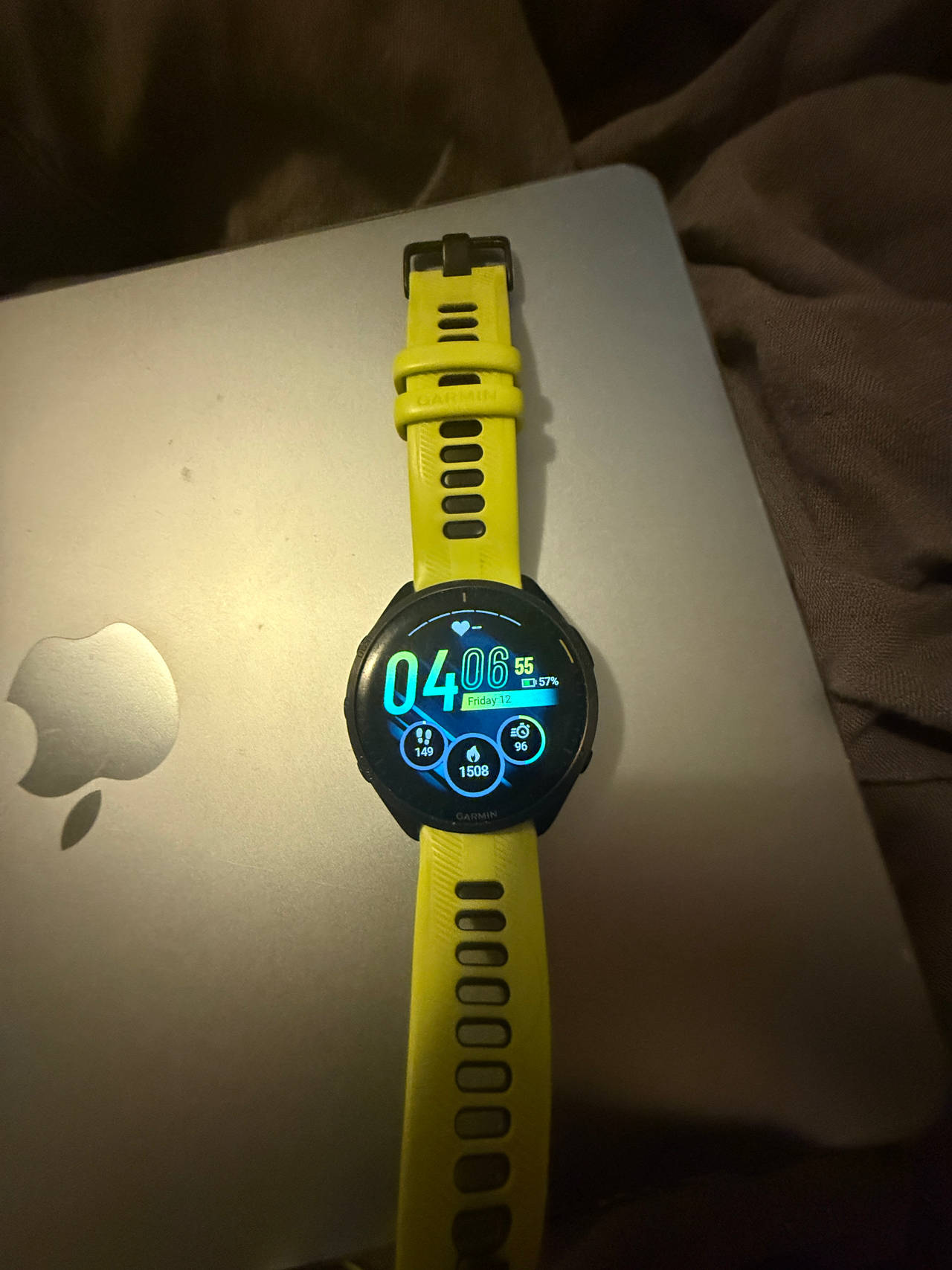 Garmin Forerunner 245