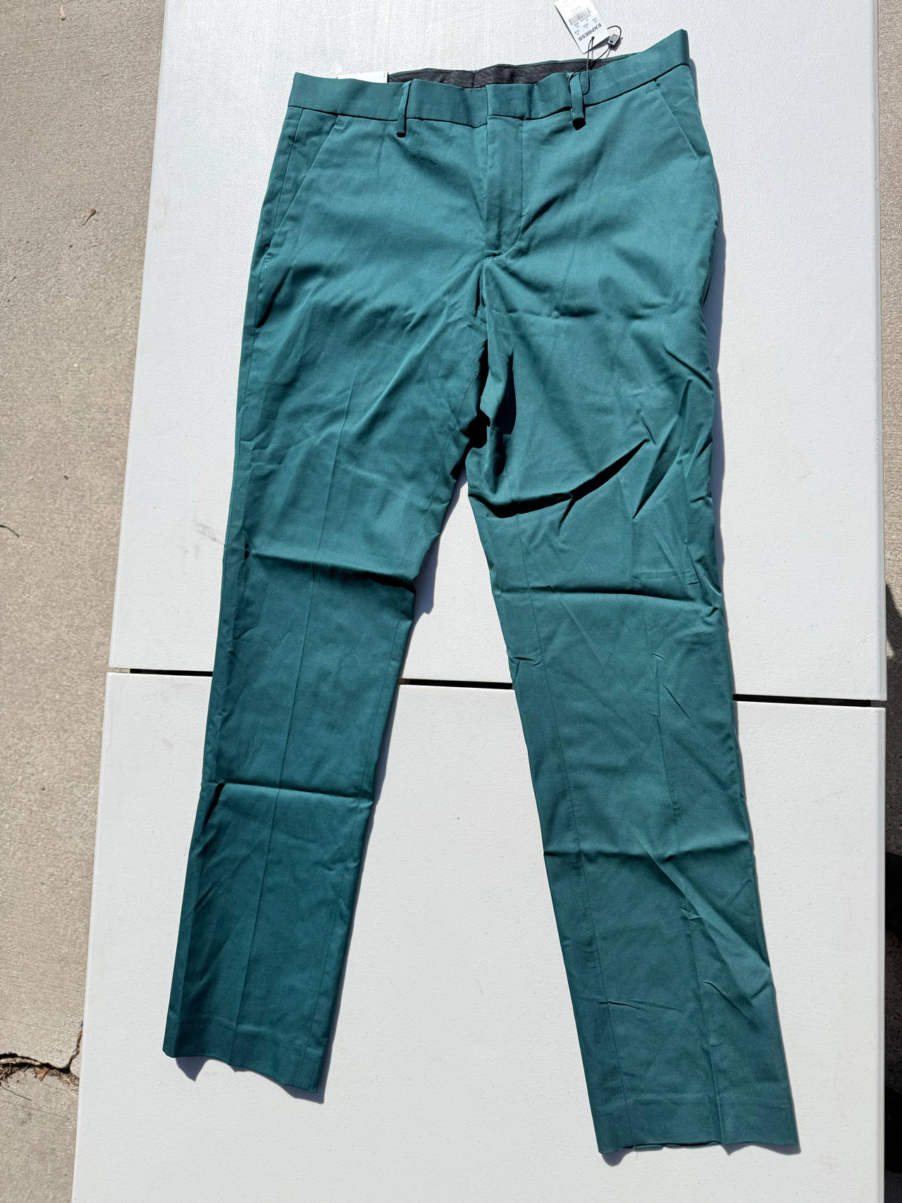 Express Photographer Slim Fit Dress Pant