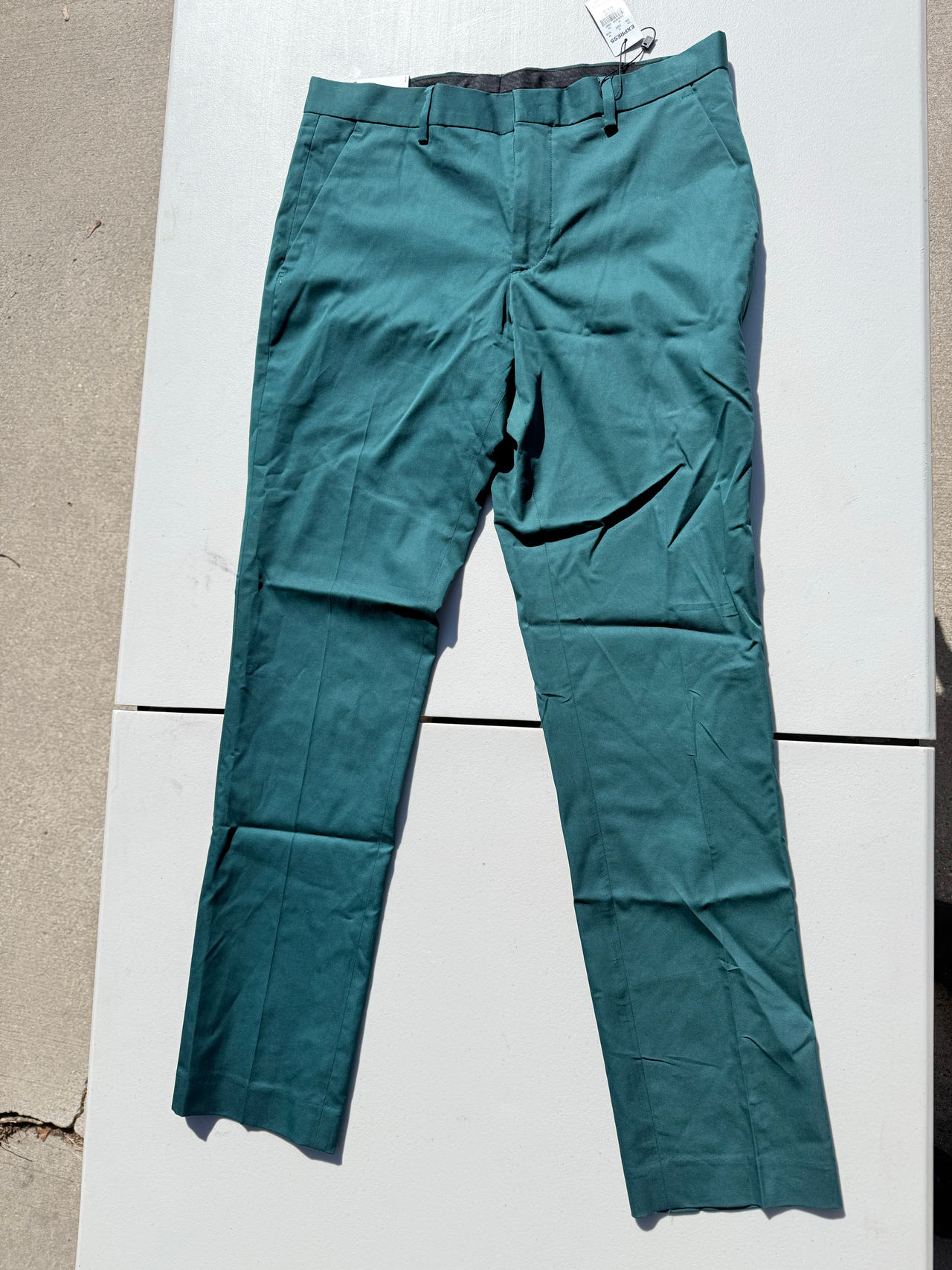Express Photographer Slim Fit Dress Pant